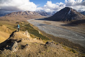 Climb Sheep Ridge in Denali