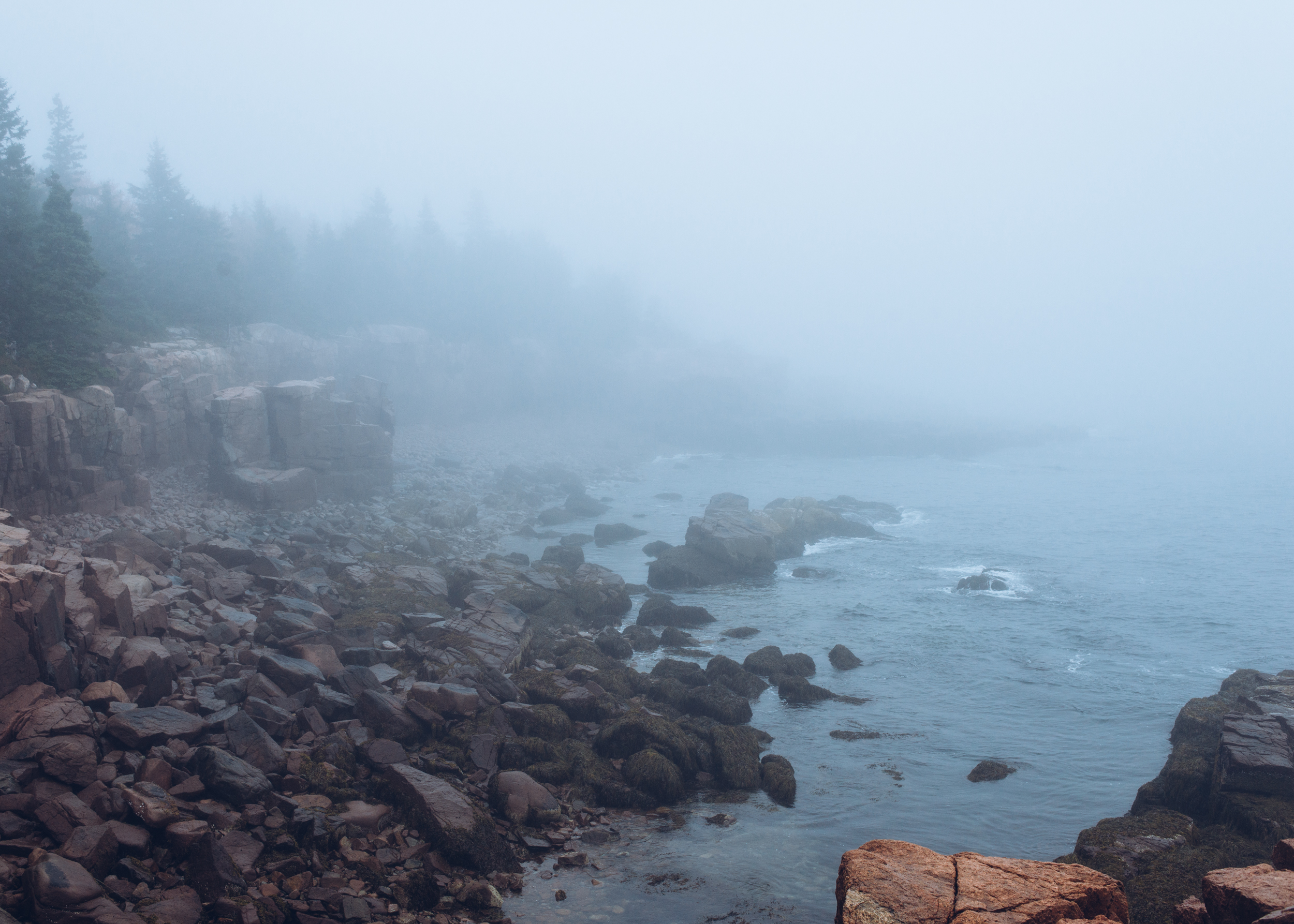 Blackwoods in Bar Harbor