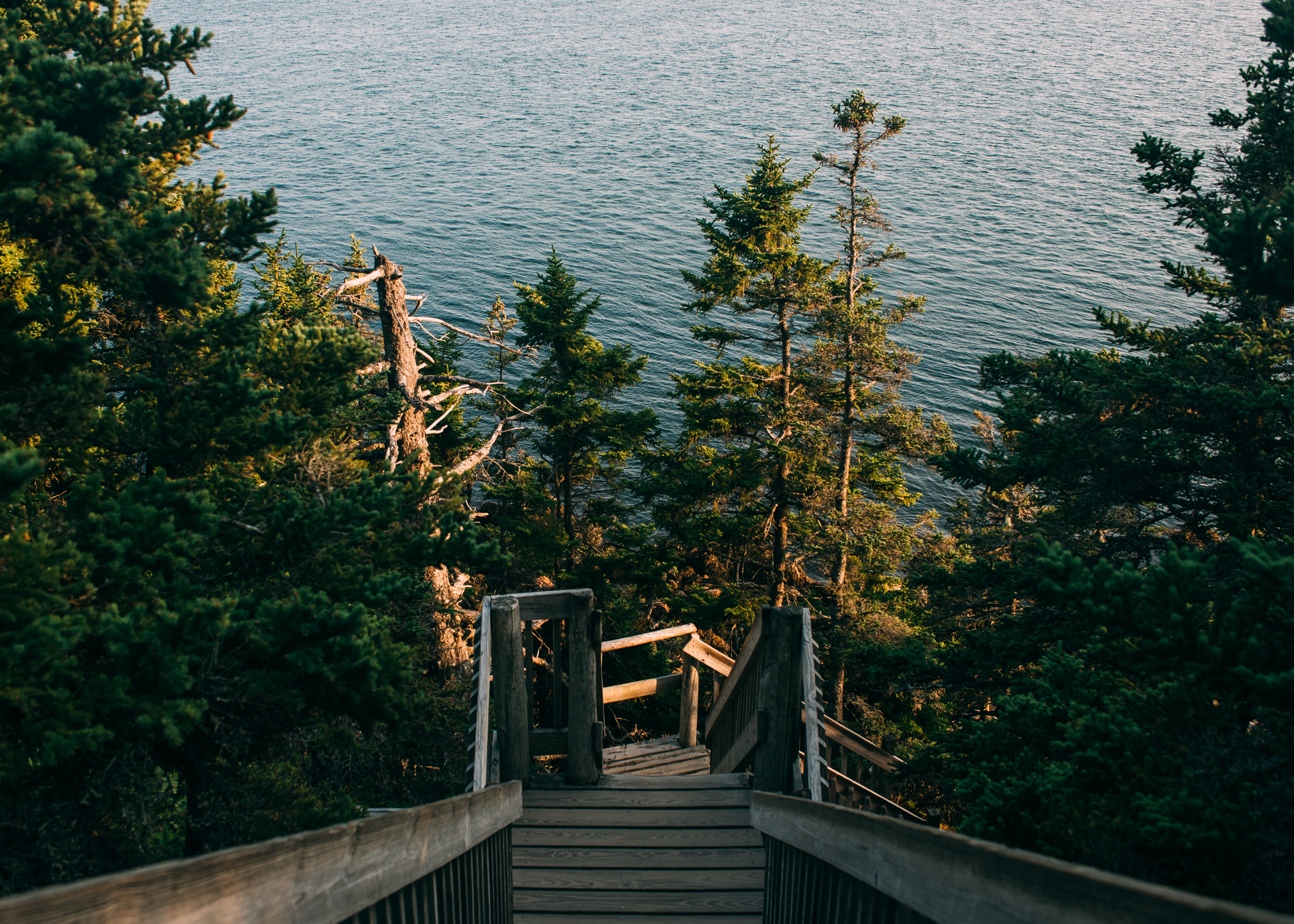 Blackwoods in Bar Harbor