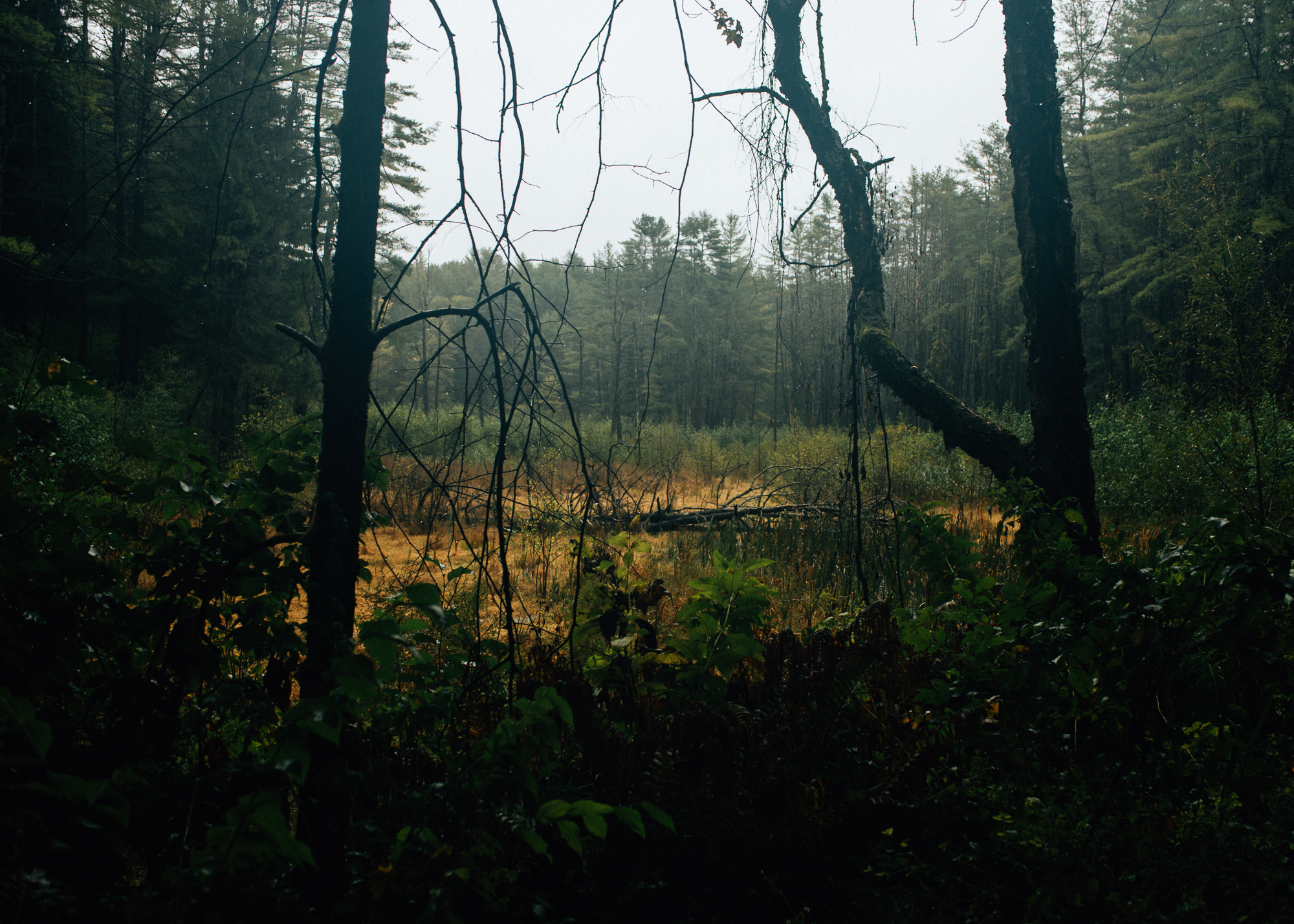 Camp at Quechee State Park