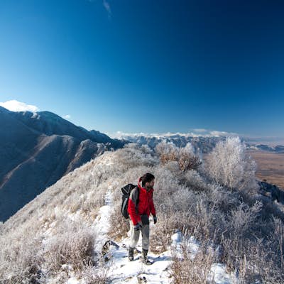 Climb Mt. Xiaowutai (小五台山): Hebei Province's Highest Peak