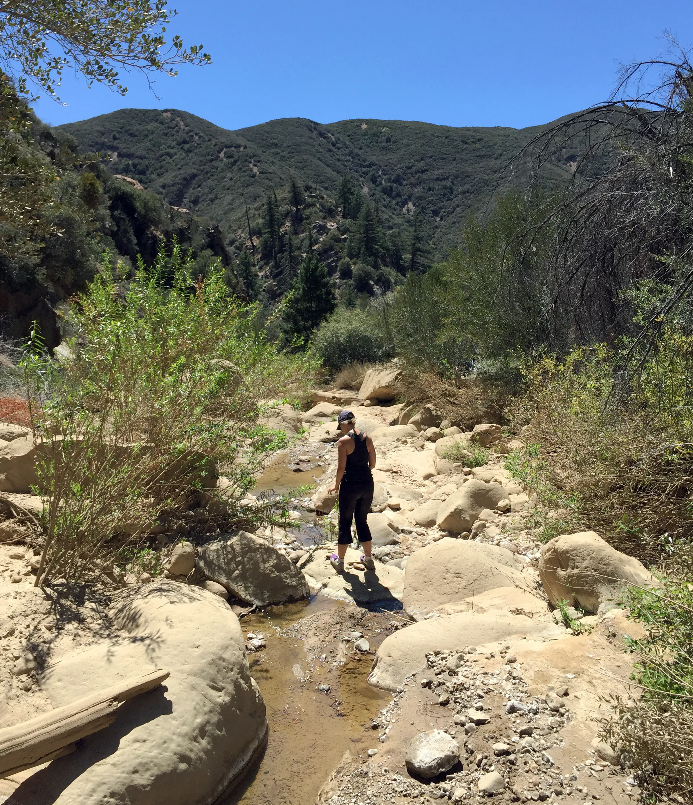 Potrero John Trail