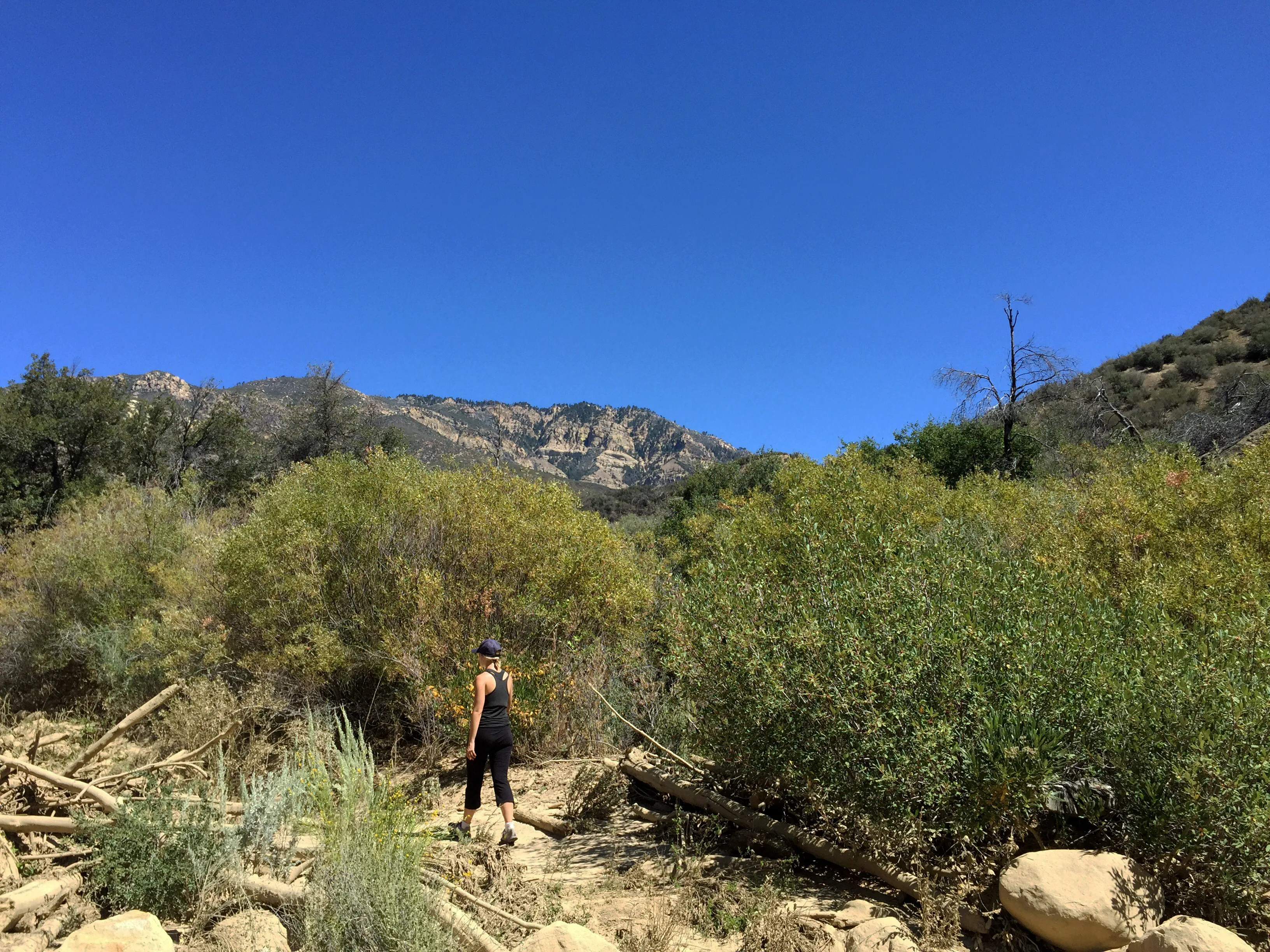 Potrero John Trail