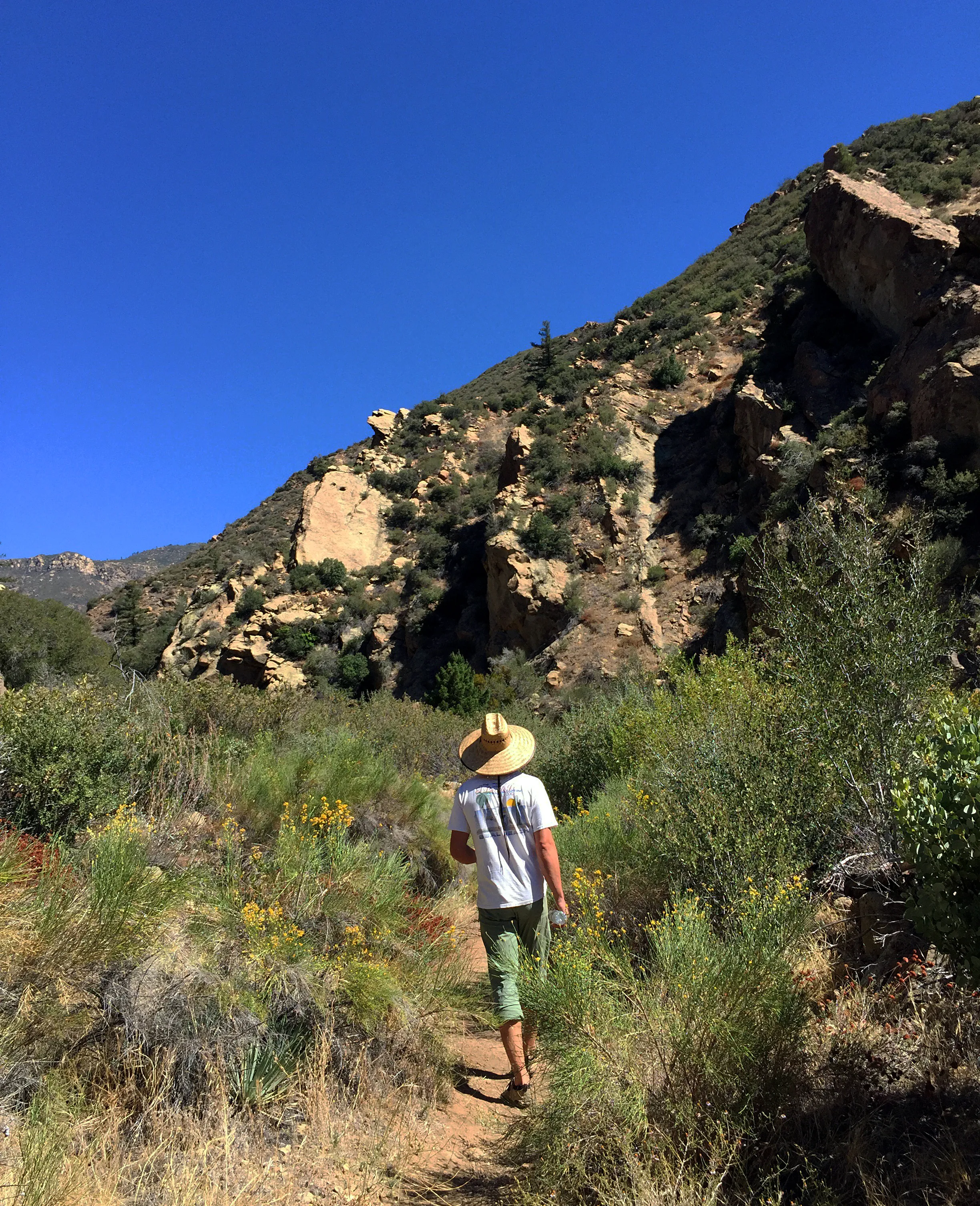 Potrero John Trail
