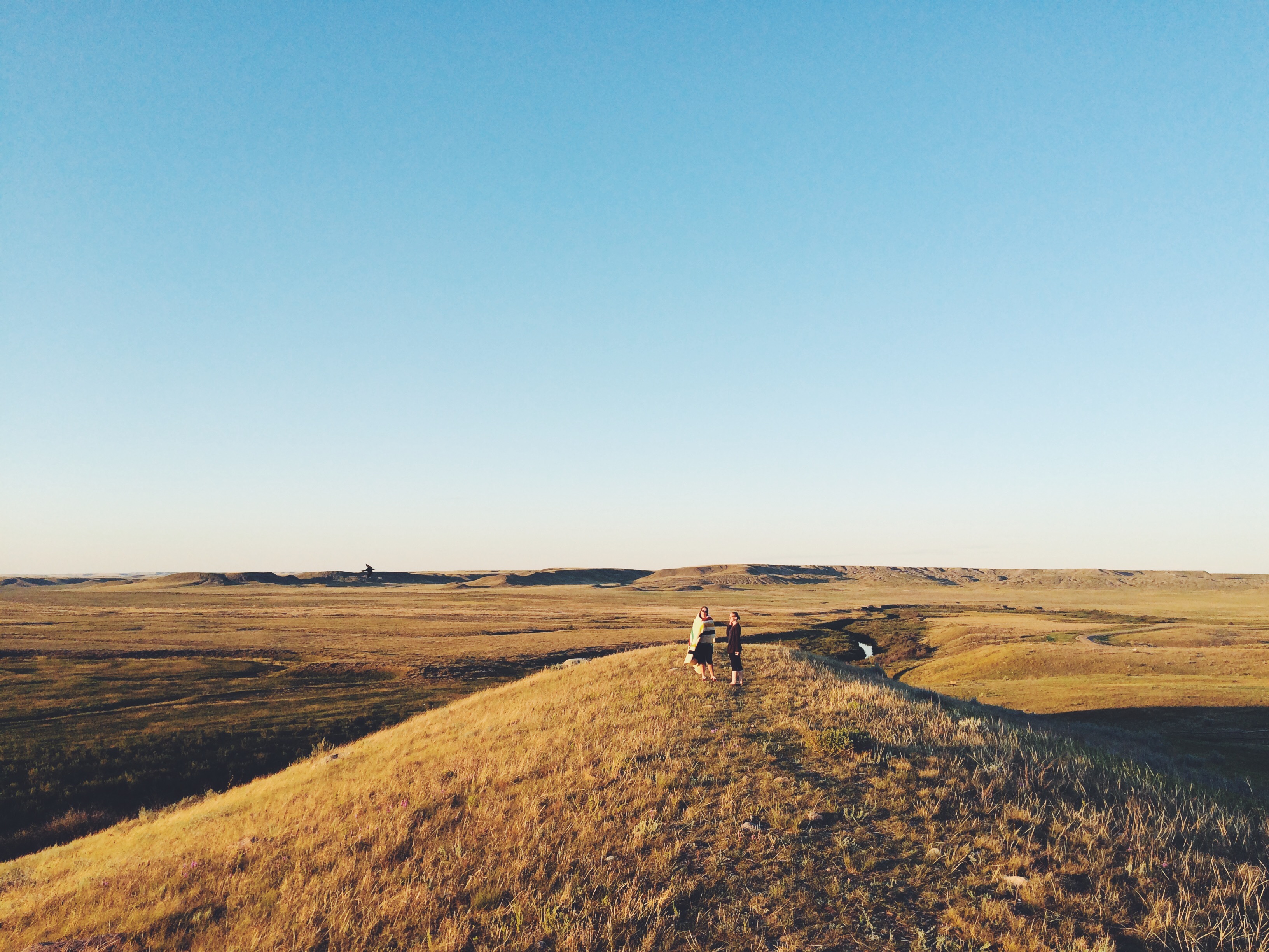 Drive the Eco-Tour Road in Grasslands National Park