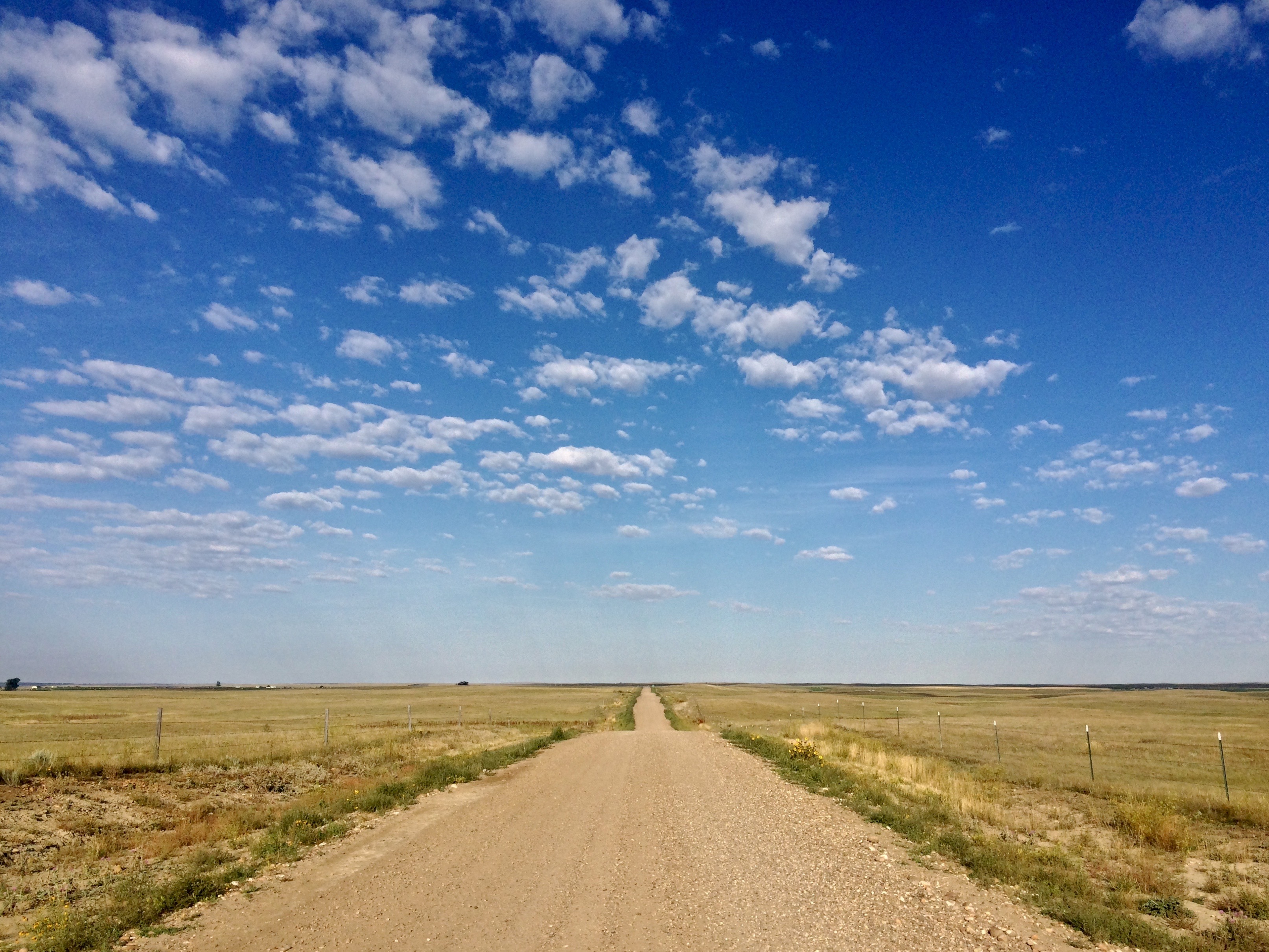 Drive the Eco-Tour Road in Grasslands National Park