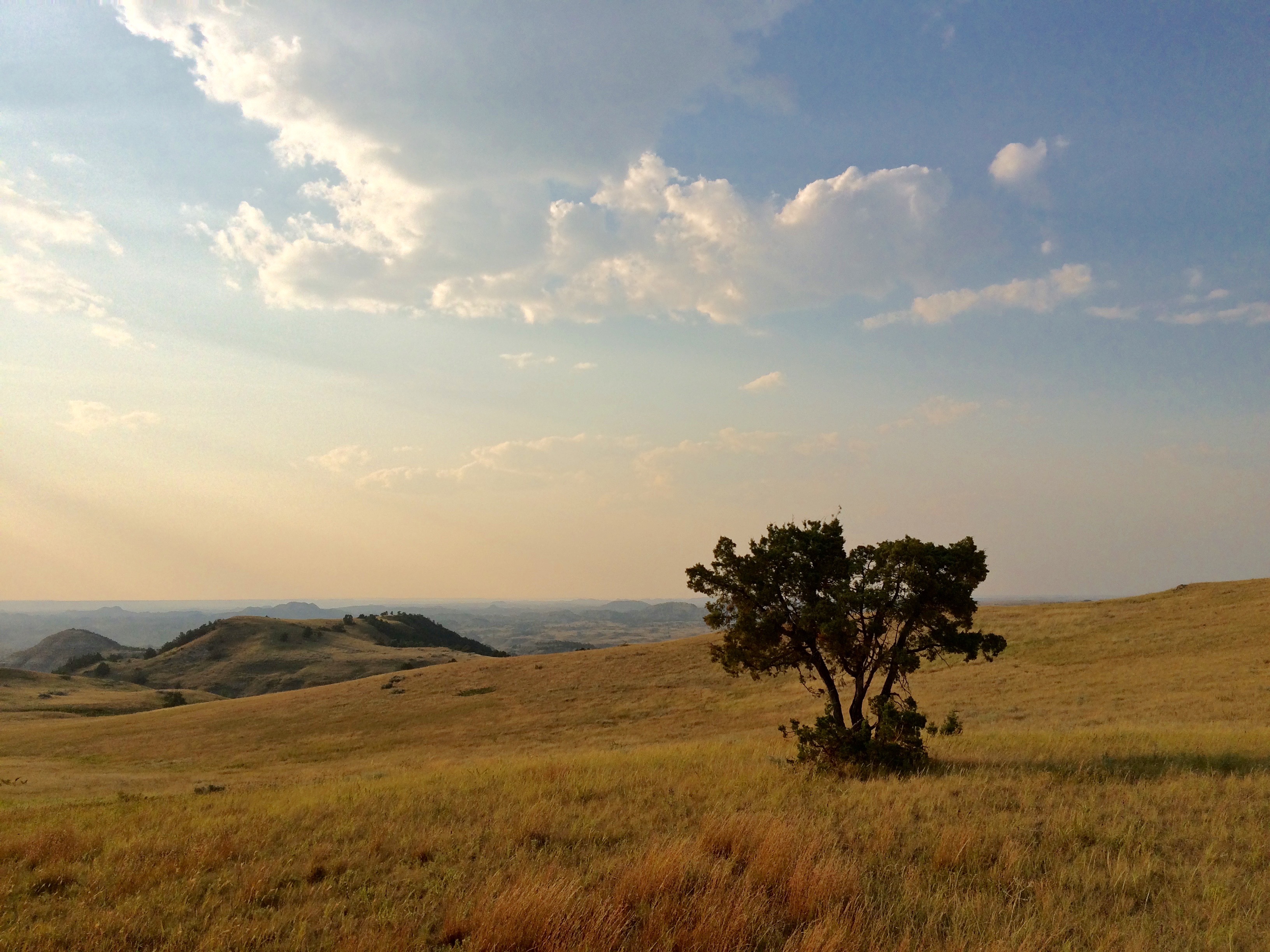 Buck Hill