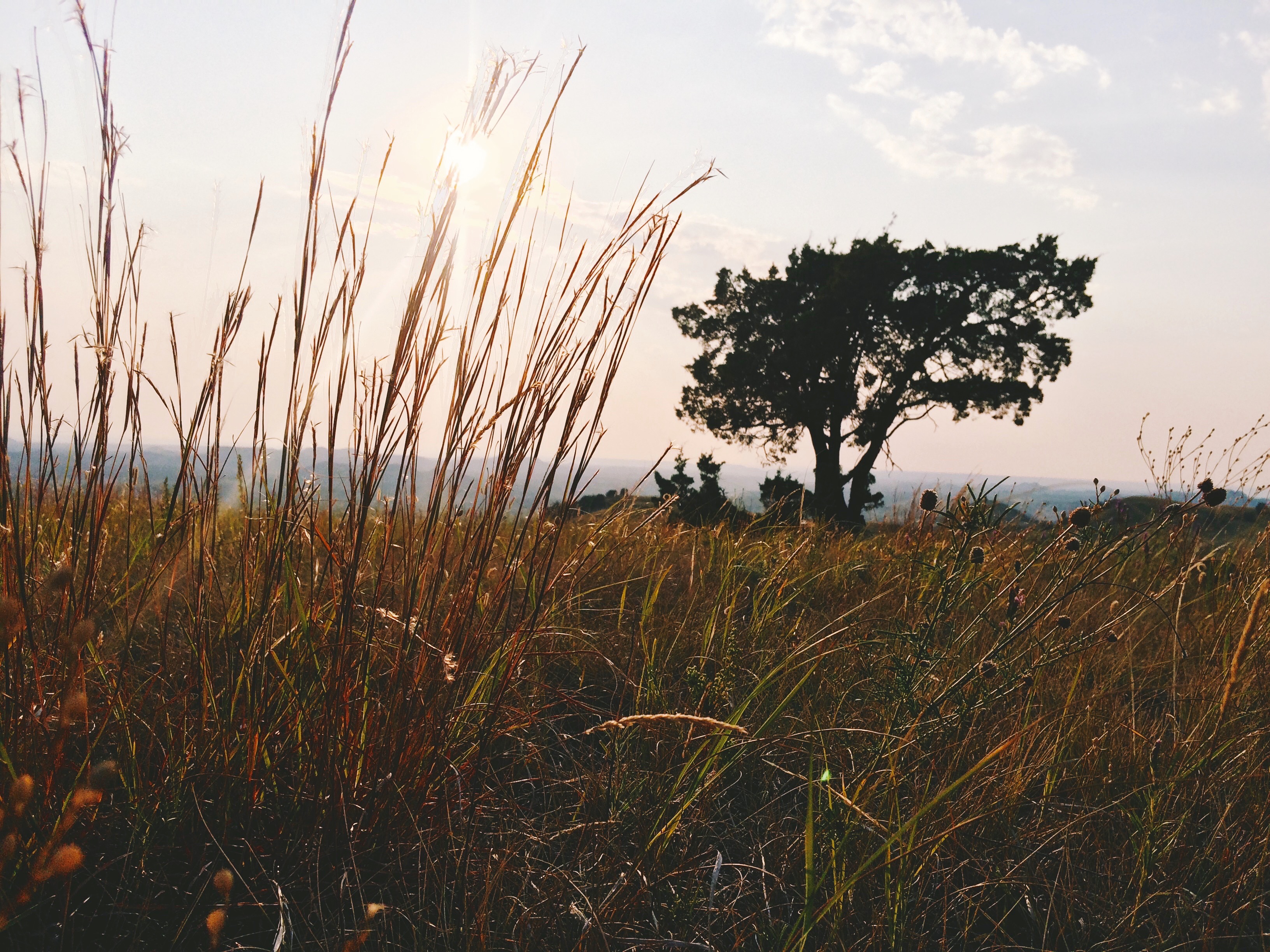Buck Hill