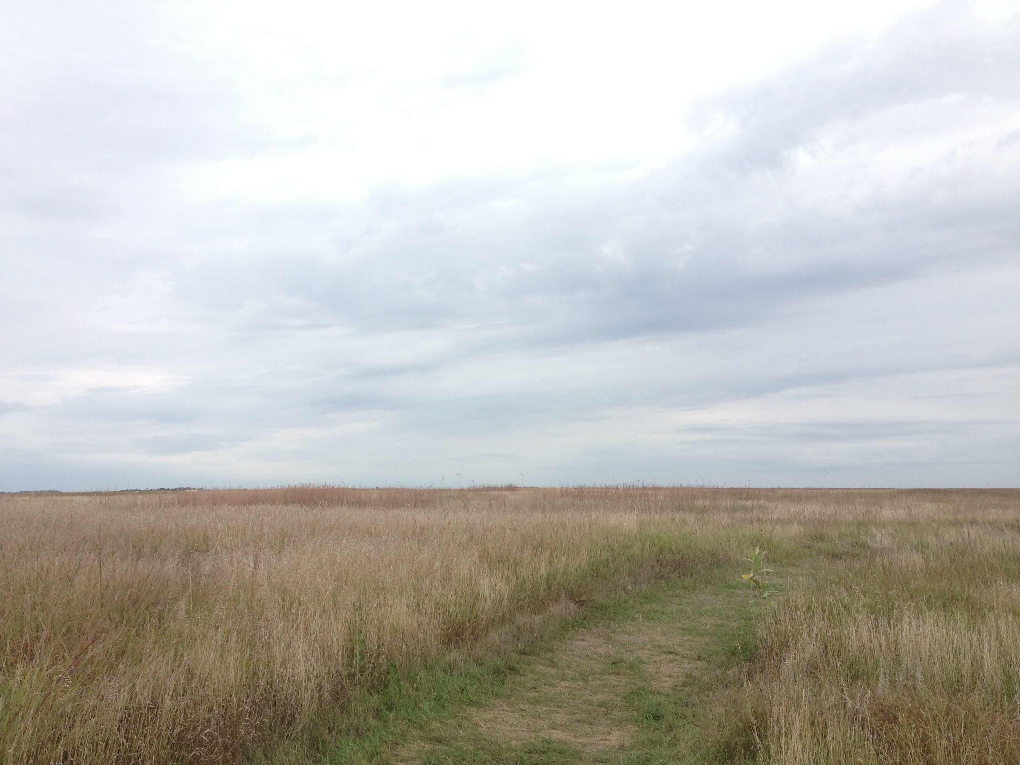 Explore Touch the Sky Prairie 