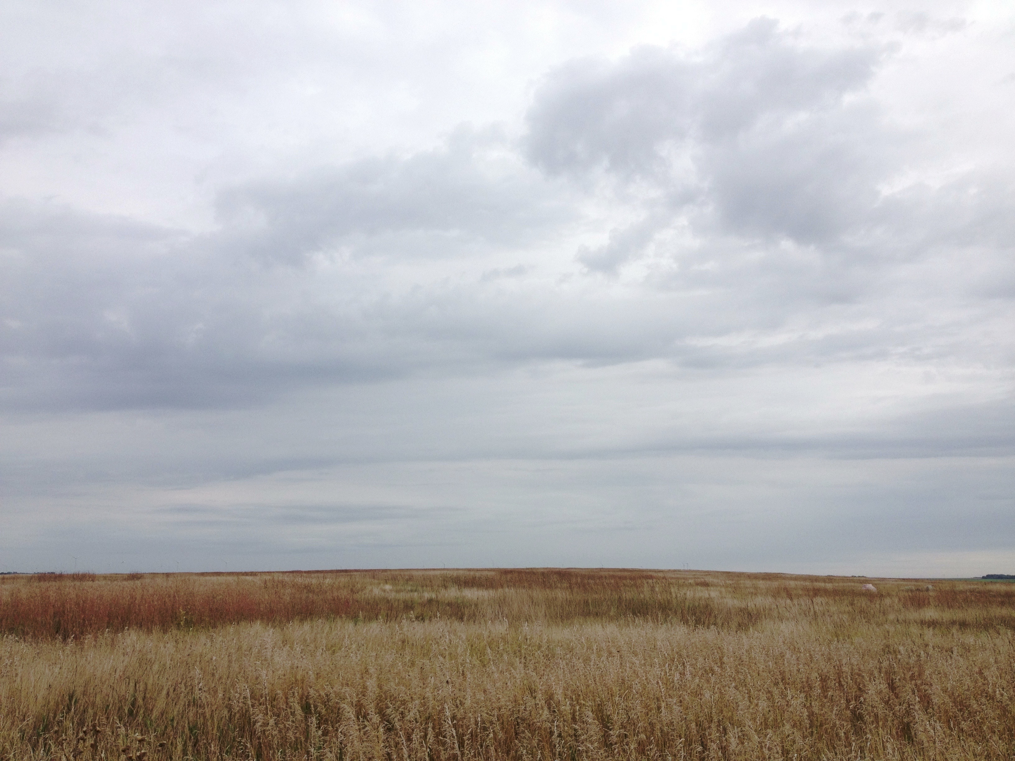 Explore Touch the Sky Prairie 