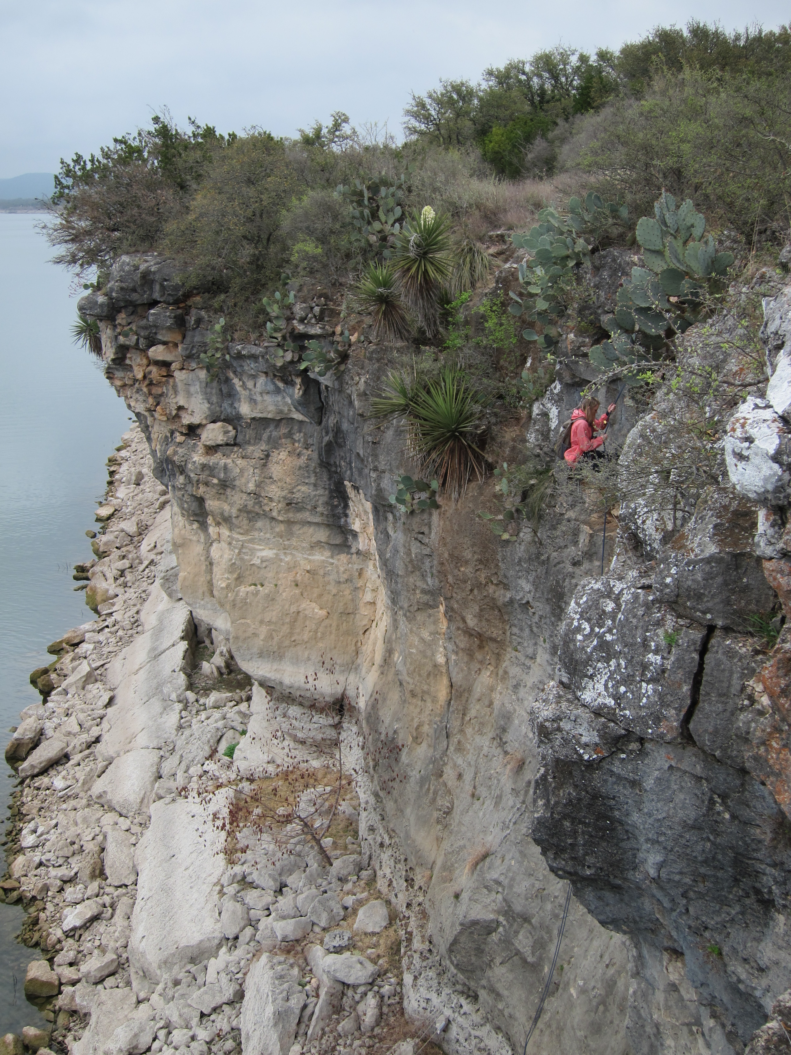 Climb at Pace Bend Park