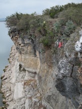 Climb at Pace Bend Park