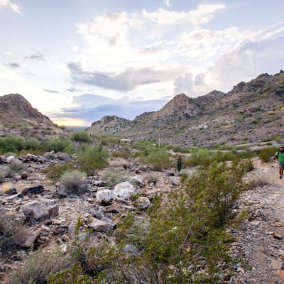 Mojave Trail #200