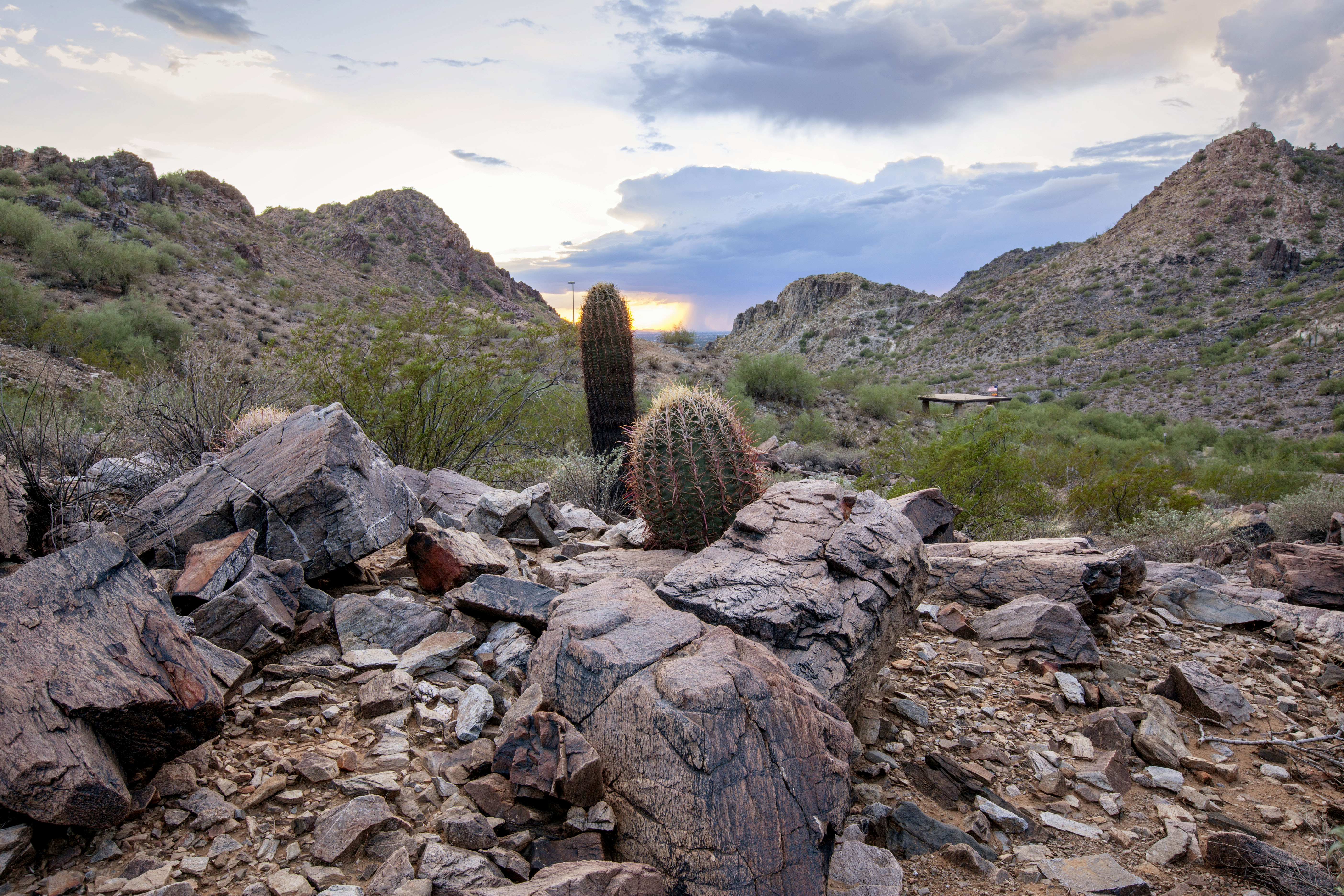 Mojave Trail #200