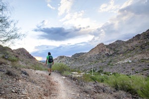 Mojave Trail #200