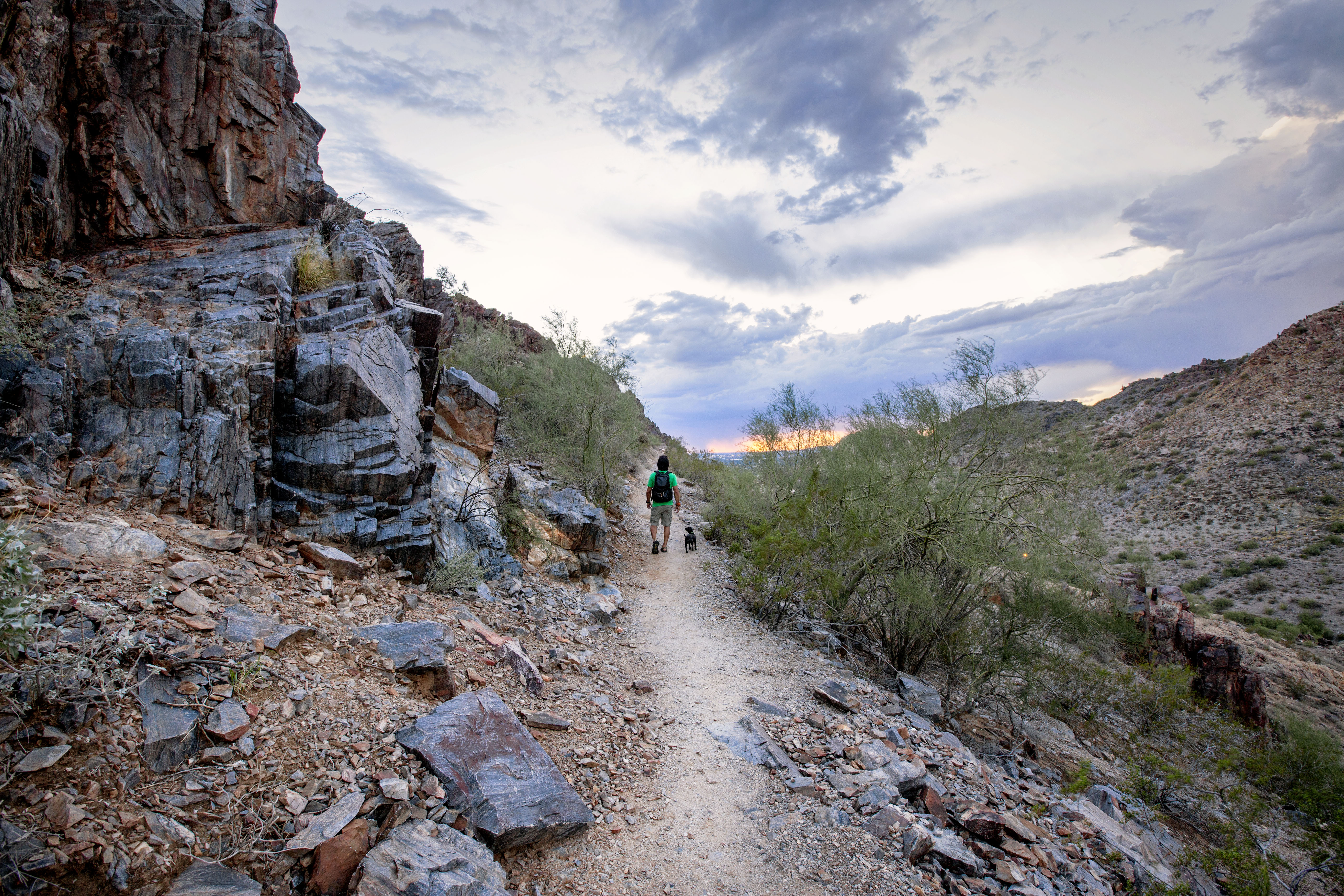 Mojave Trail #200