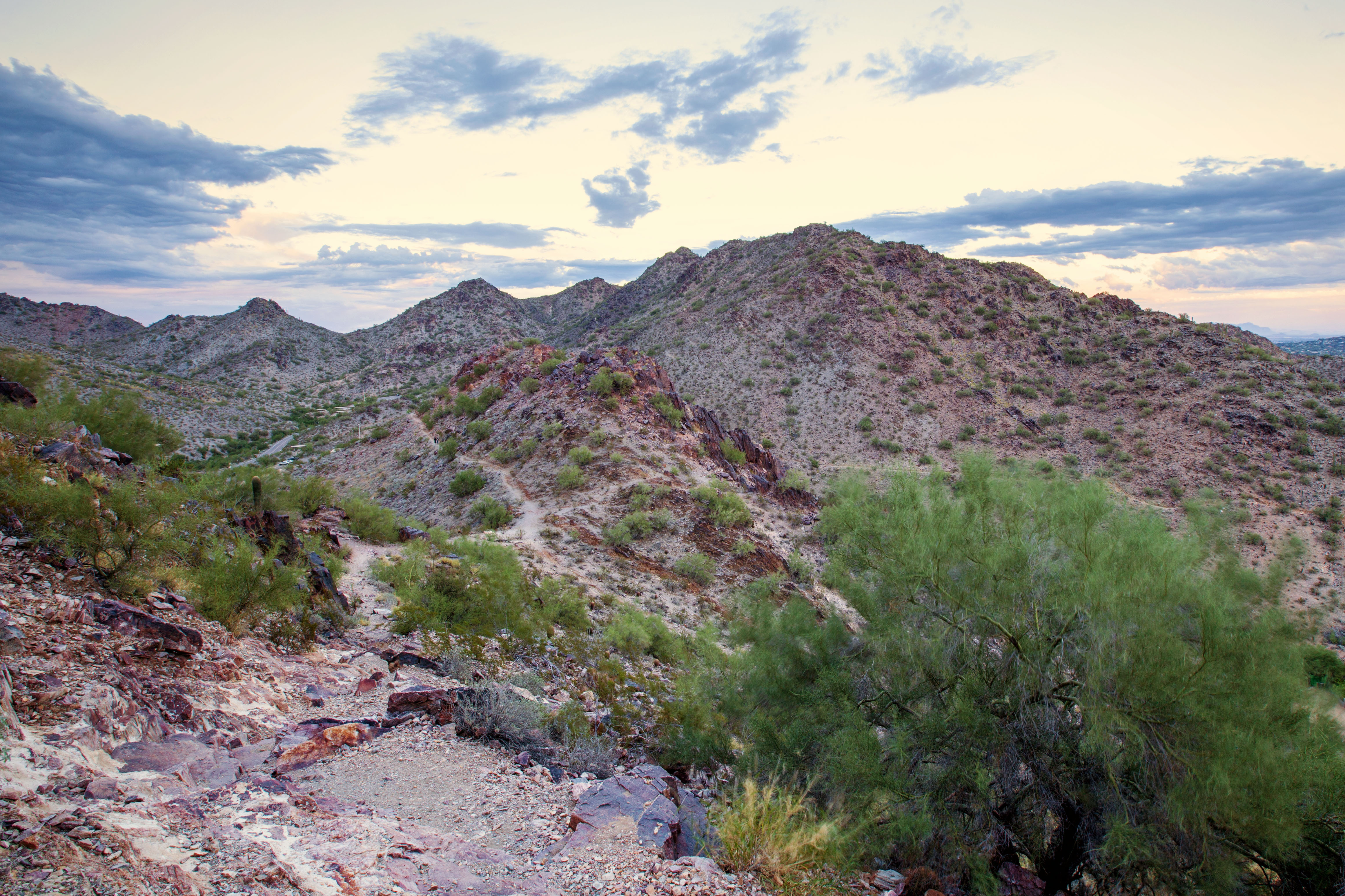 Mojave Trail #200