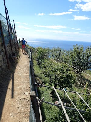 Hike Cinque Terre: Corniglia to Manarola
