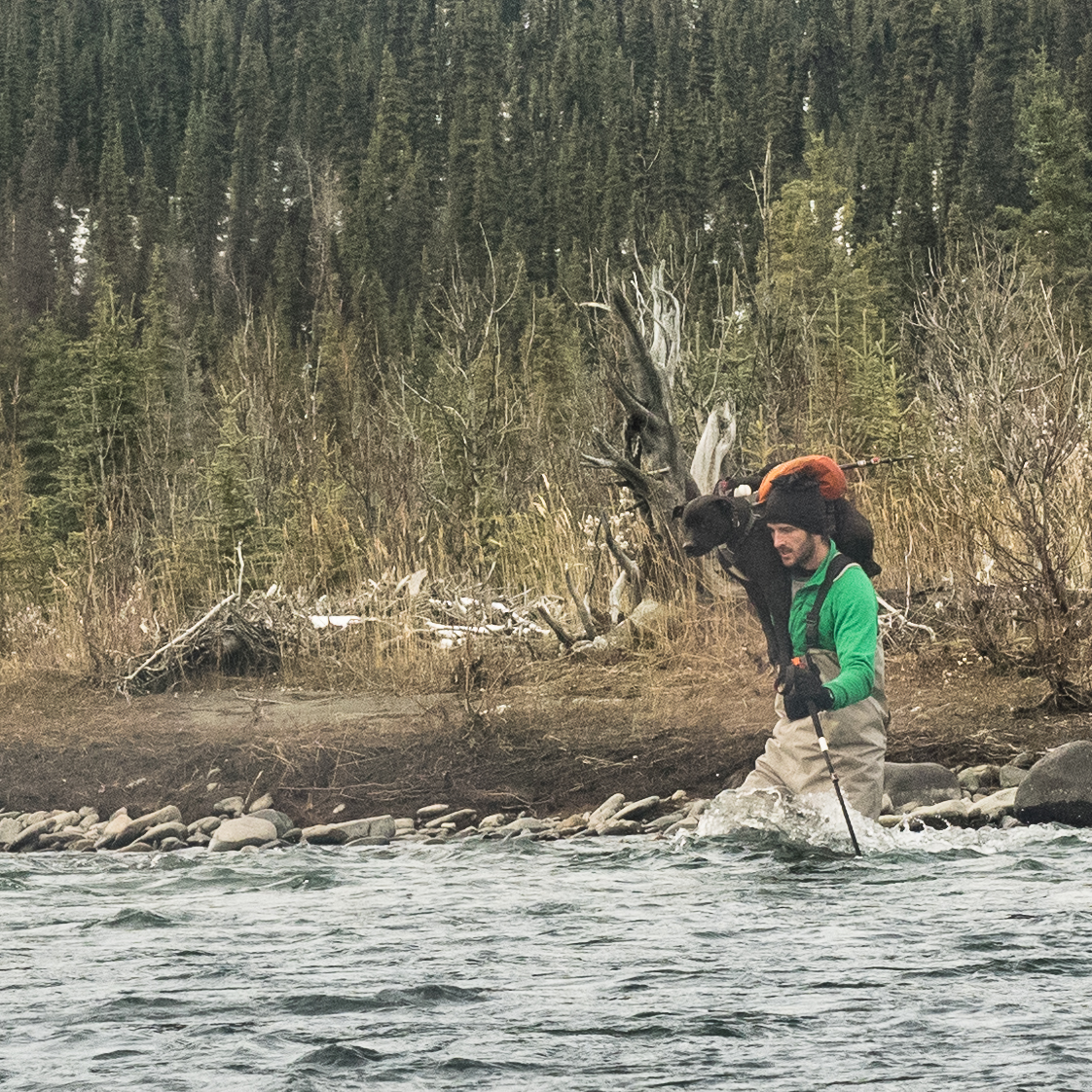 Hike the Stampede Trail to the Magic Bus