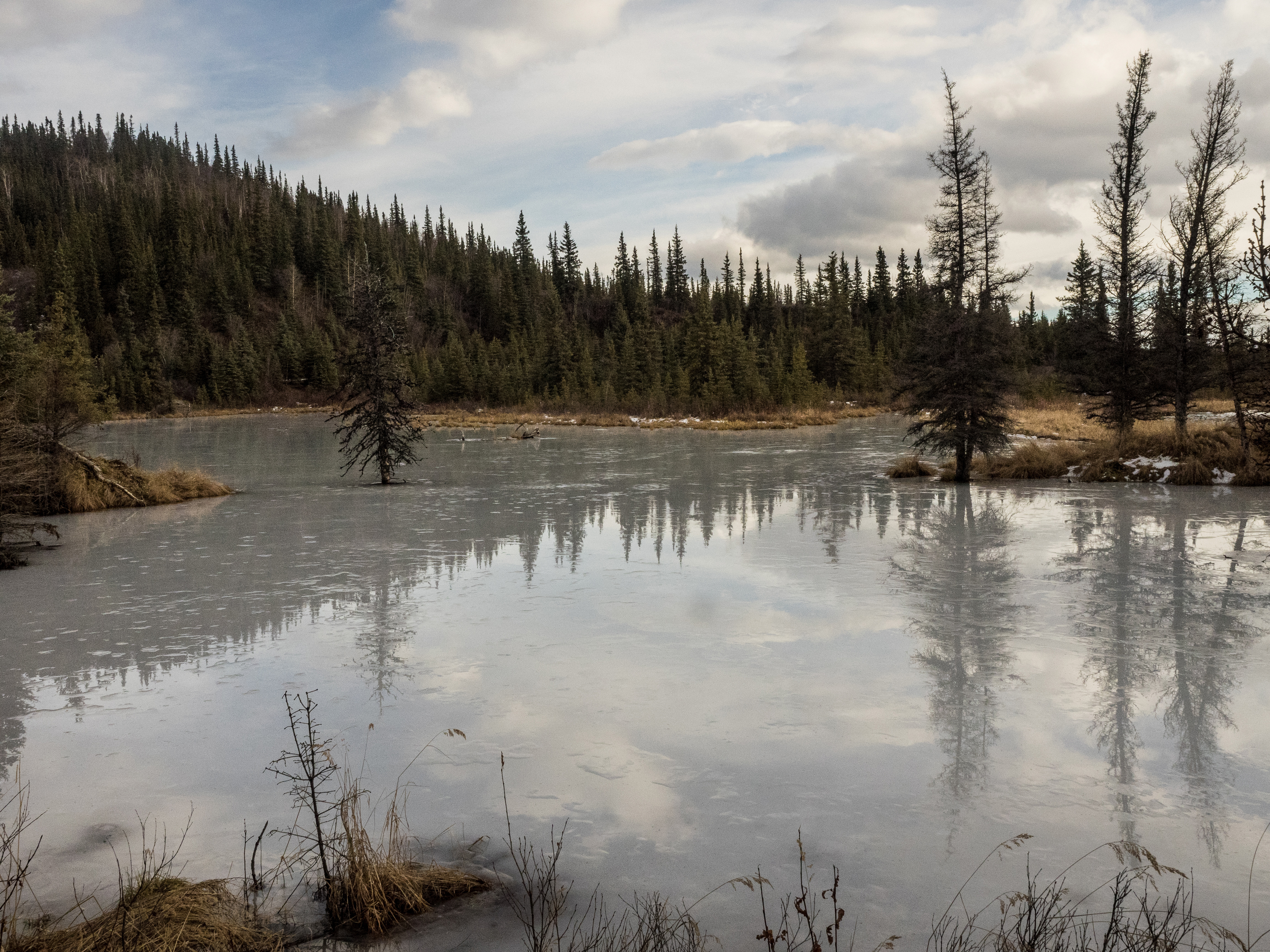 Hike the Stampede Trail to the Magic Bus
