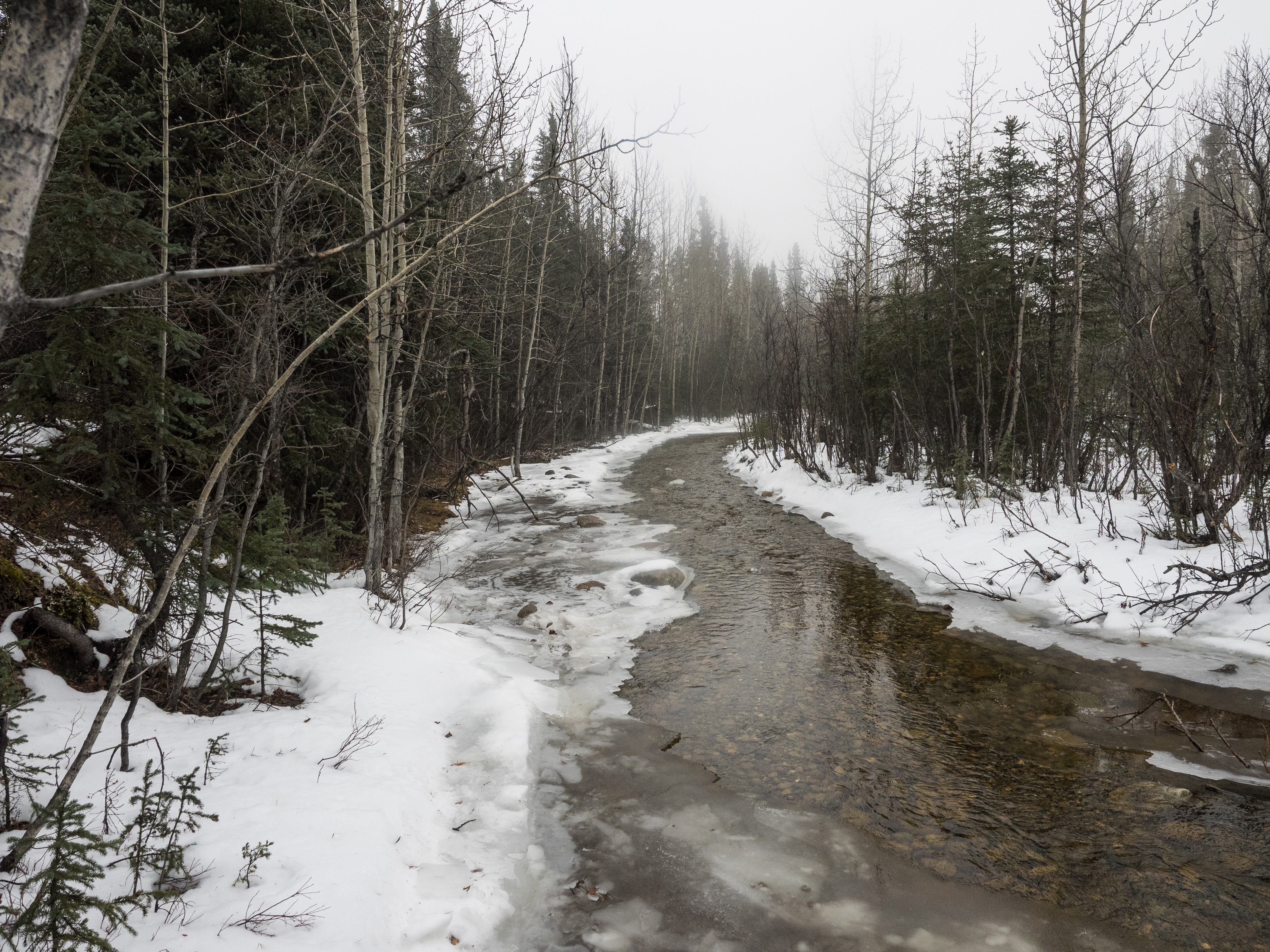 Hike the Stampede Trail to the Magic Bus