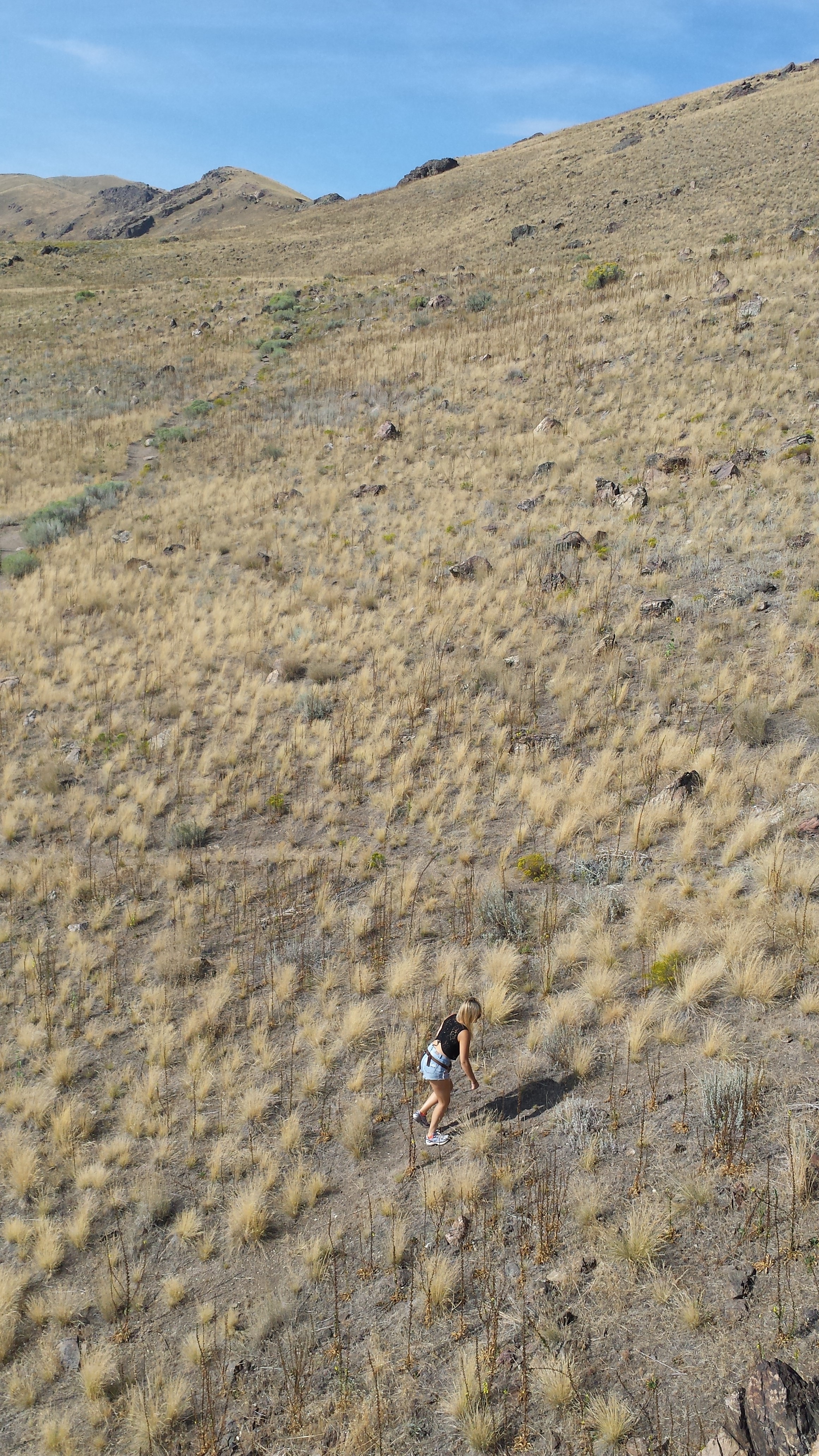 Frary Peak Trail