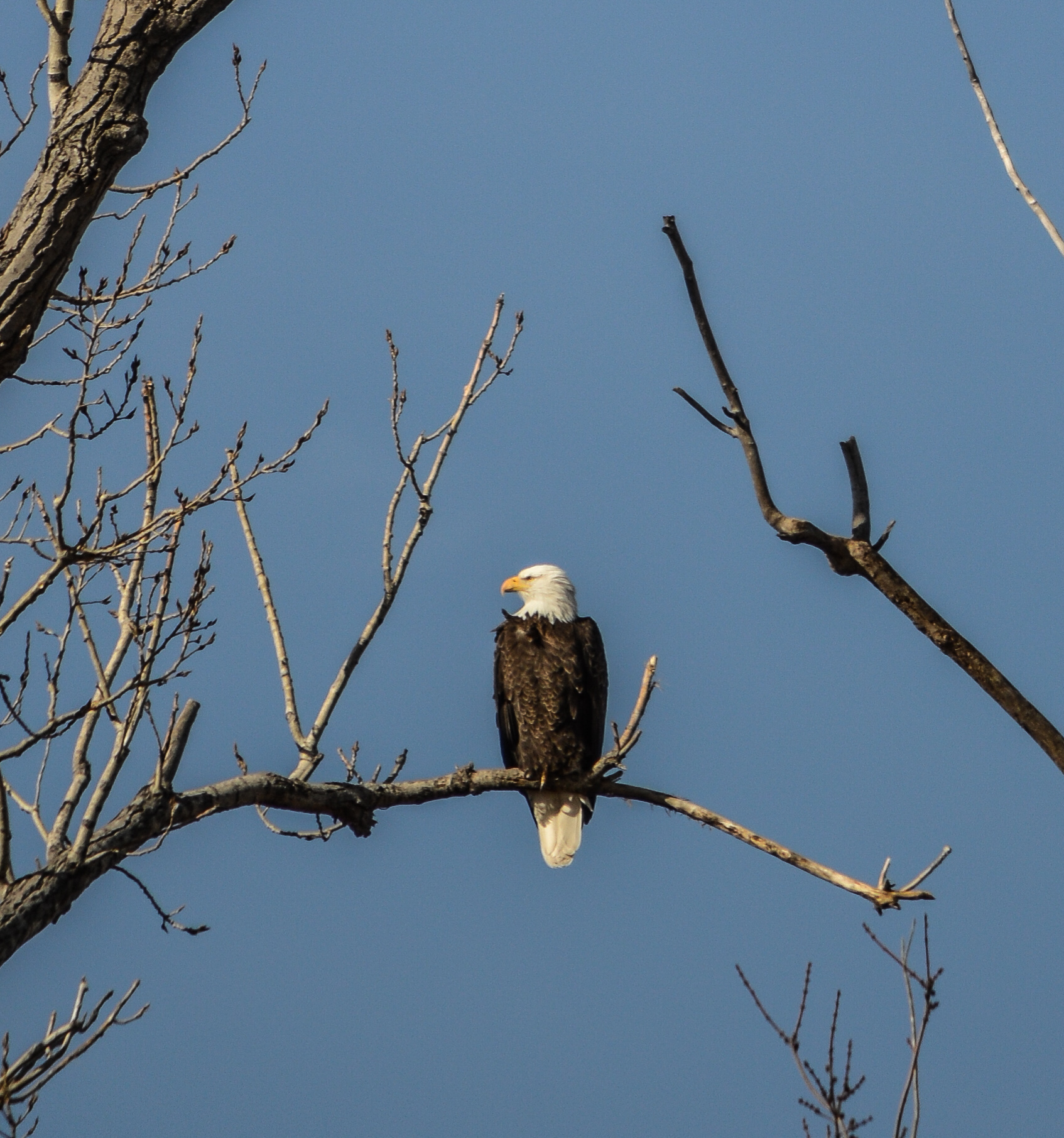 Explore Squaw Creek National Wildlife Refuge's Scenic Loop