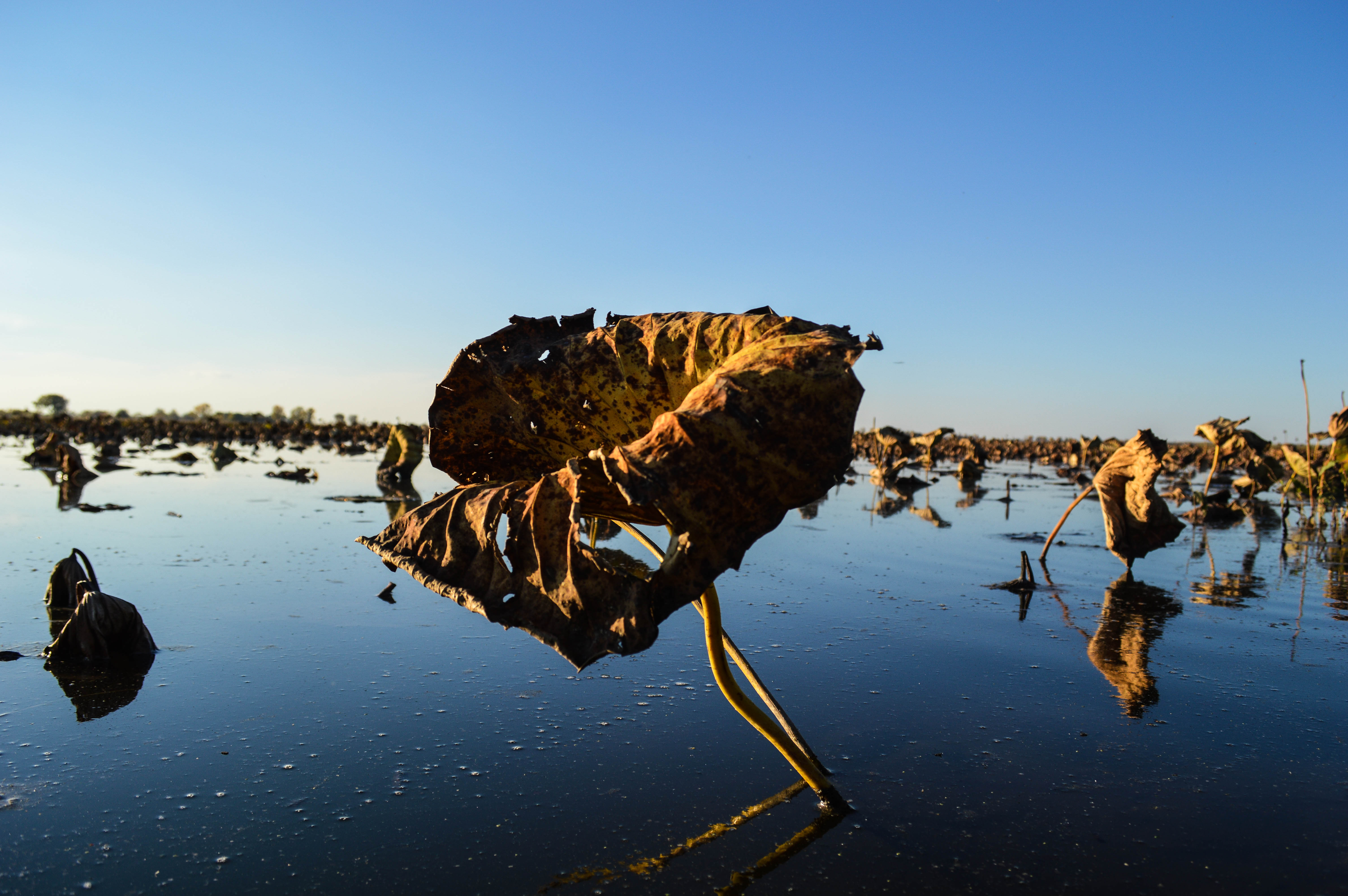 Explore Squaw Creek National Wildlife Refuge's Scenic Loop