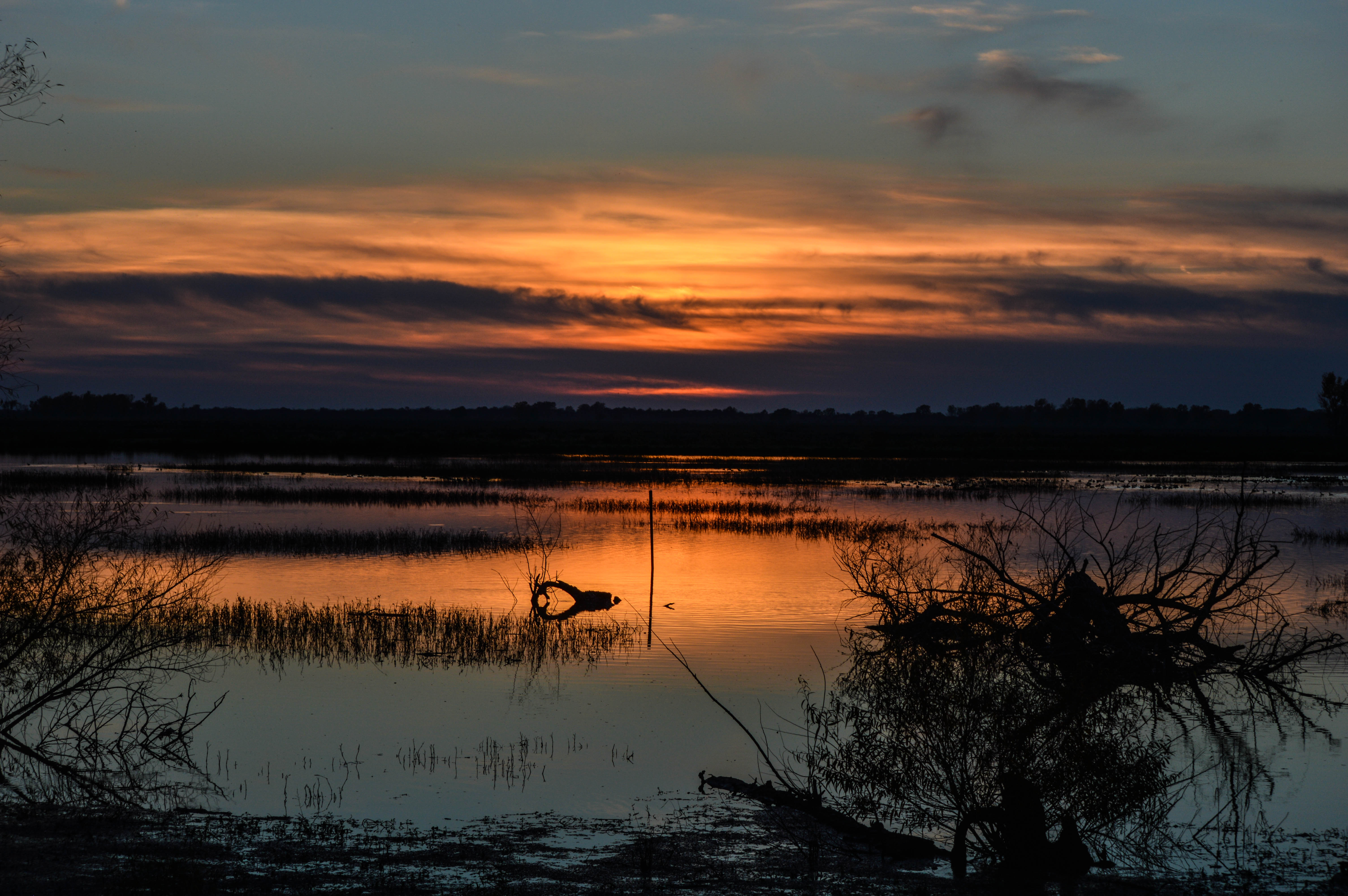 Explore Squaw Creek National Wildlife Refuge's Scenic Loop