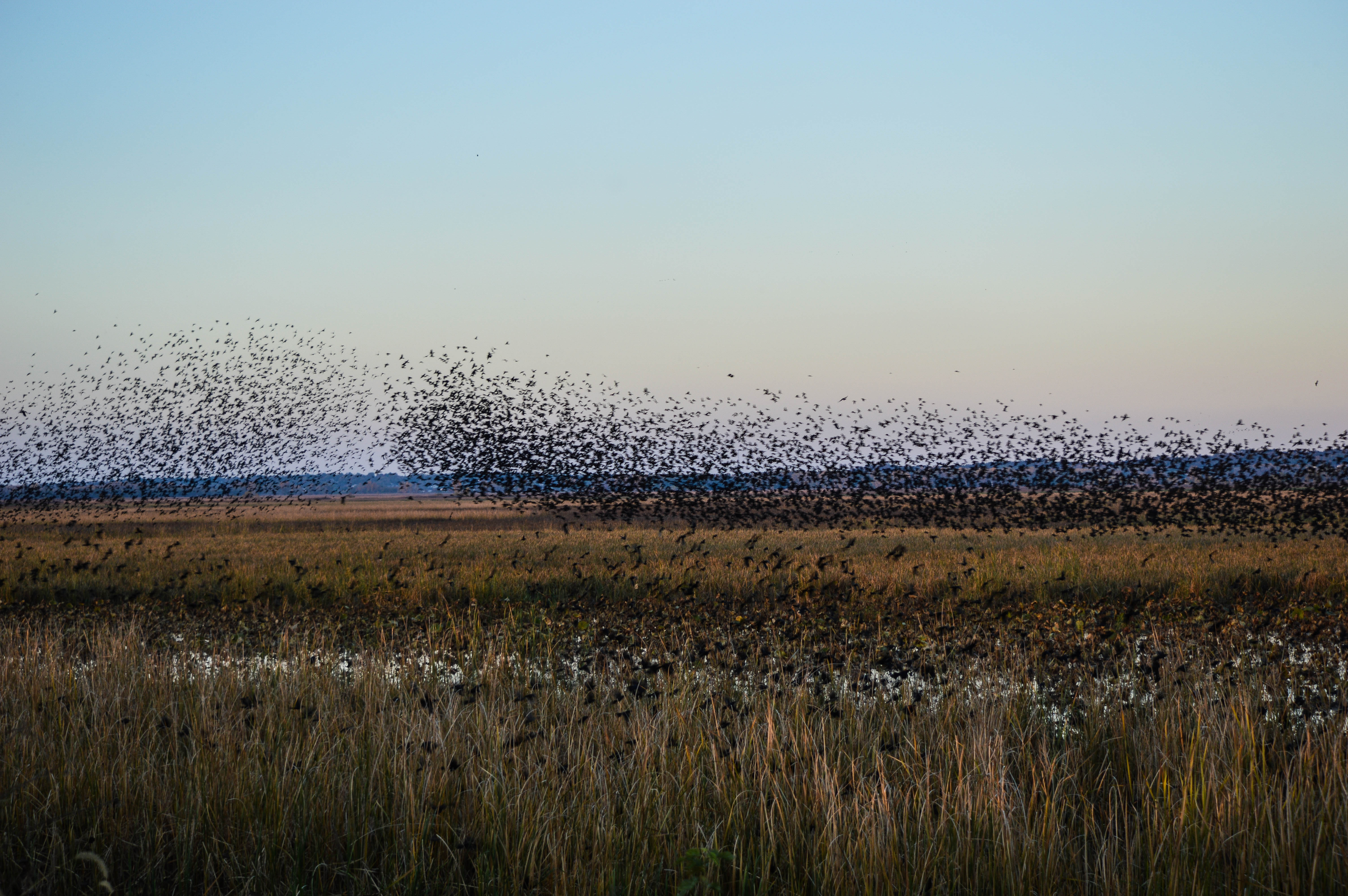Explore Squaw Creek National Wildlife Refuge's Scenic Loop