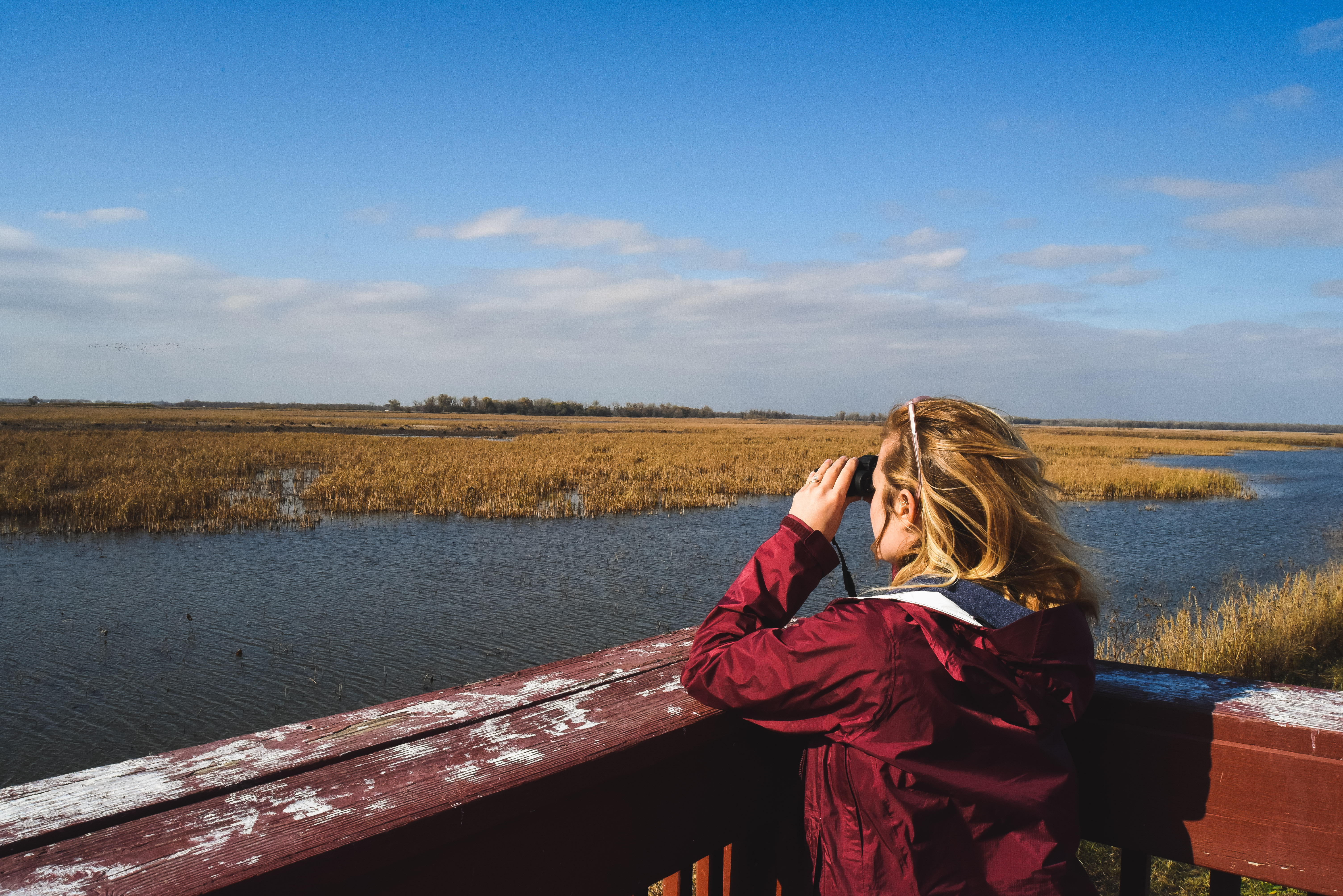 Explore Squaw Creek National Wildlife Refuge's Scenic Loop