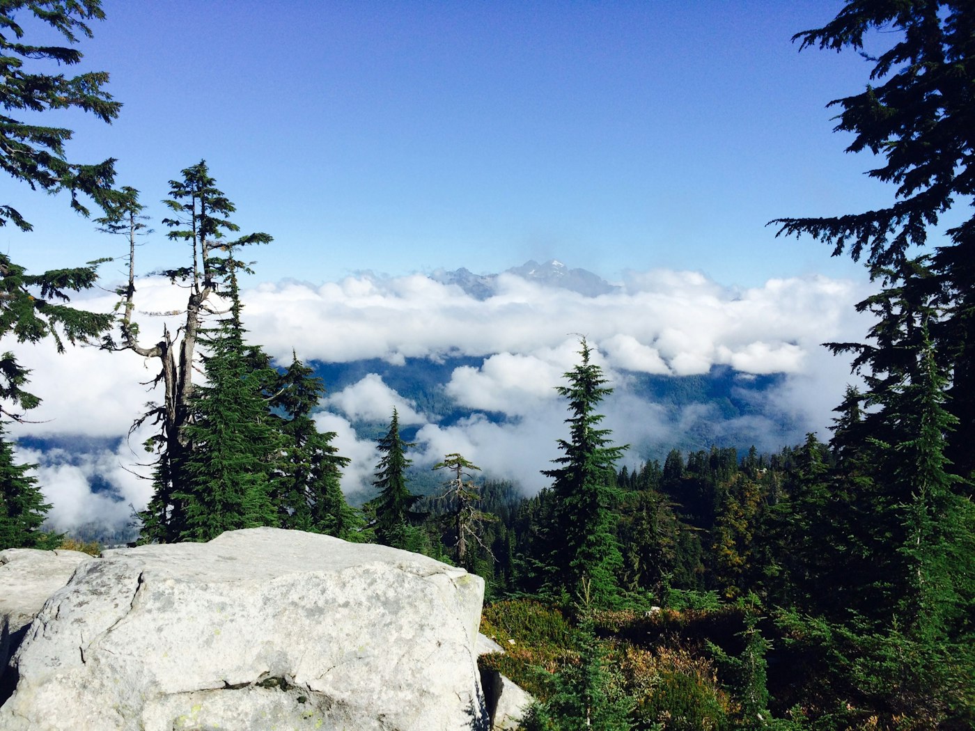 Photo of Day Hike to Mount Pilchuck Summit