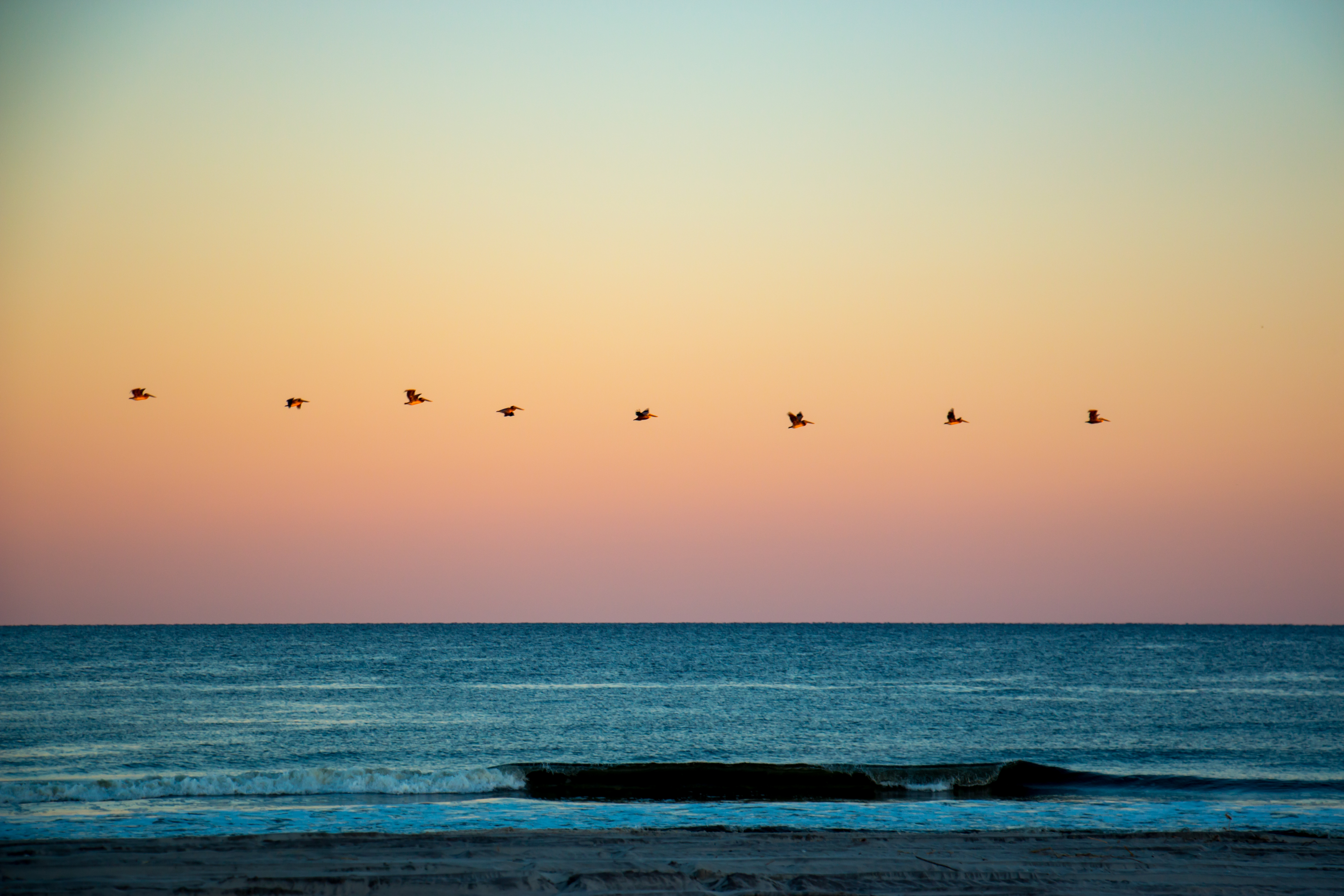 Freeman Park (Carolina Beach)