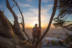 Grand View Park ("Turtle Hill")