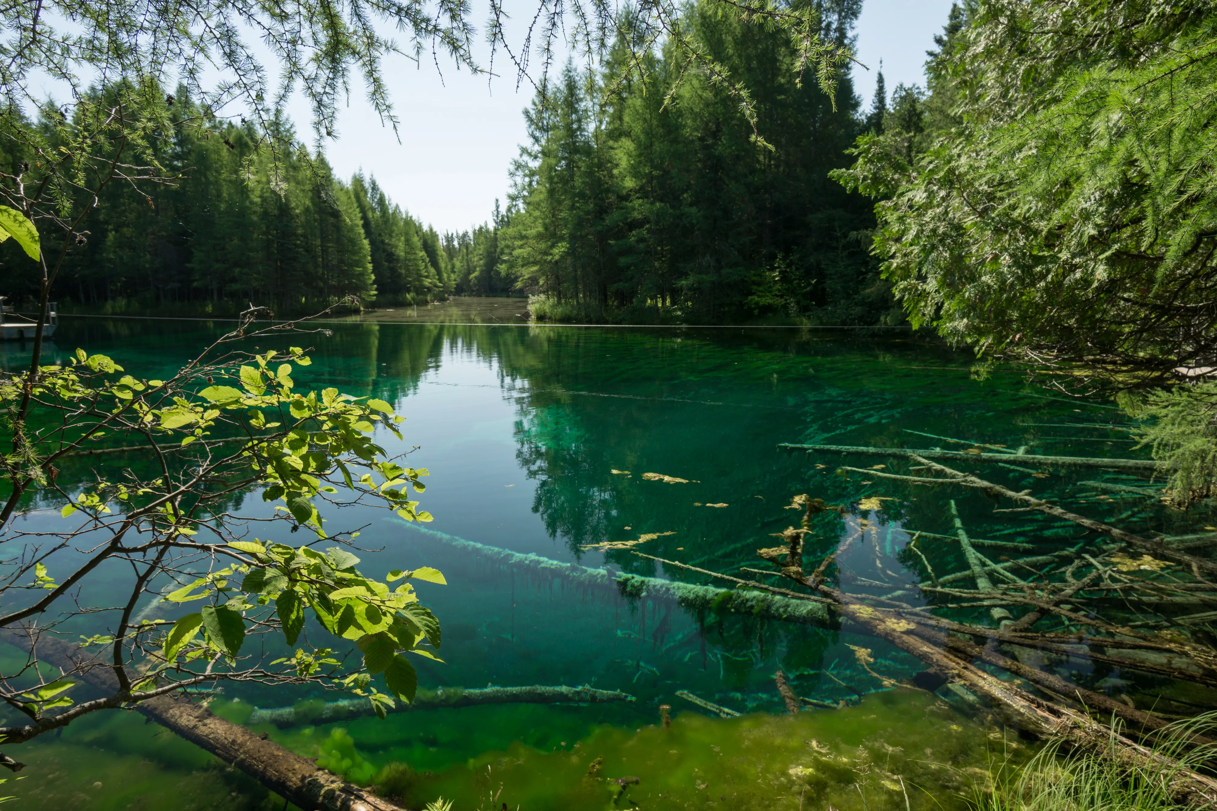 Explore Kitch-iti-kipi ("Big Springs")