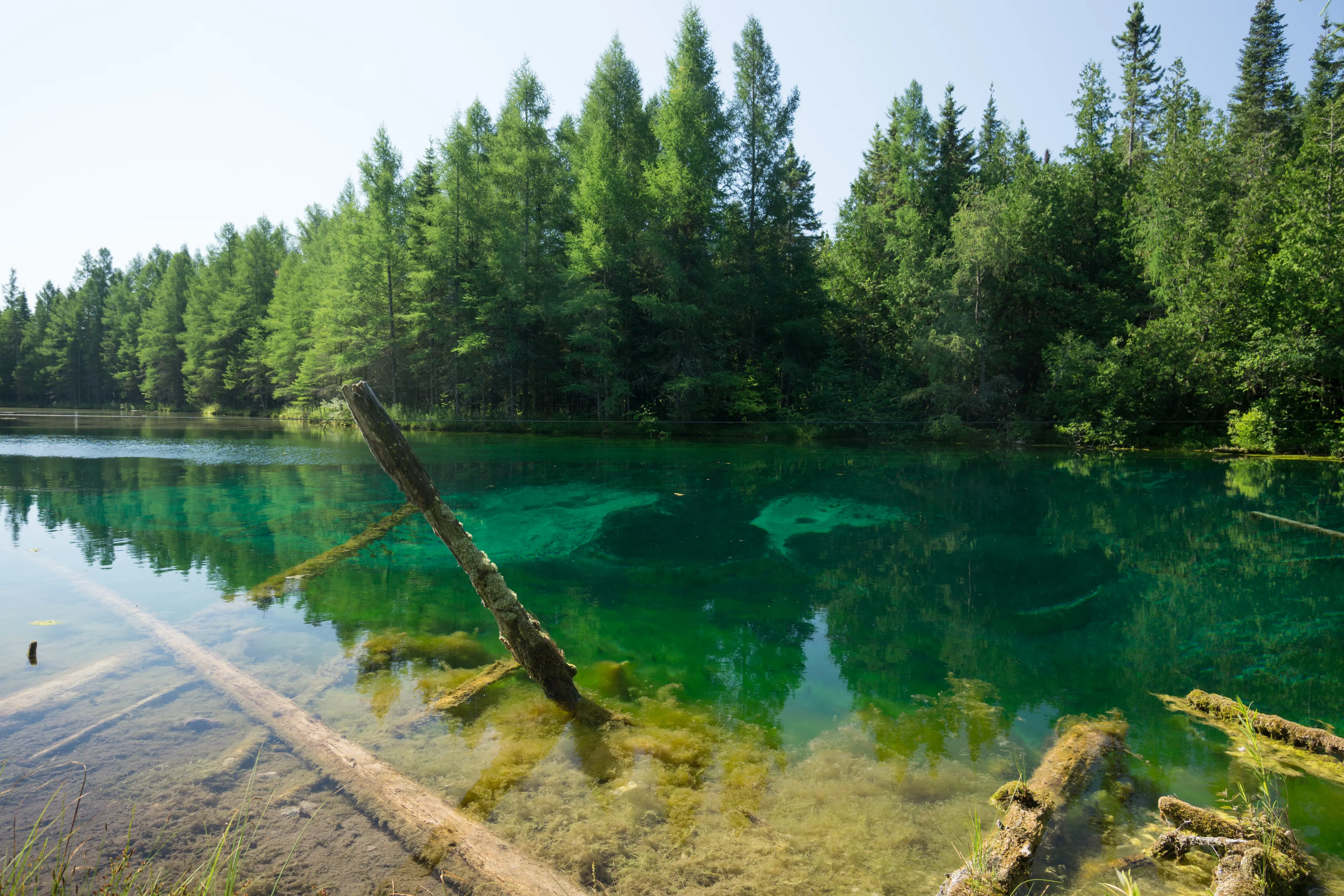 Explore Kitch-iti-kipi ("Big Springs")