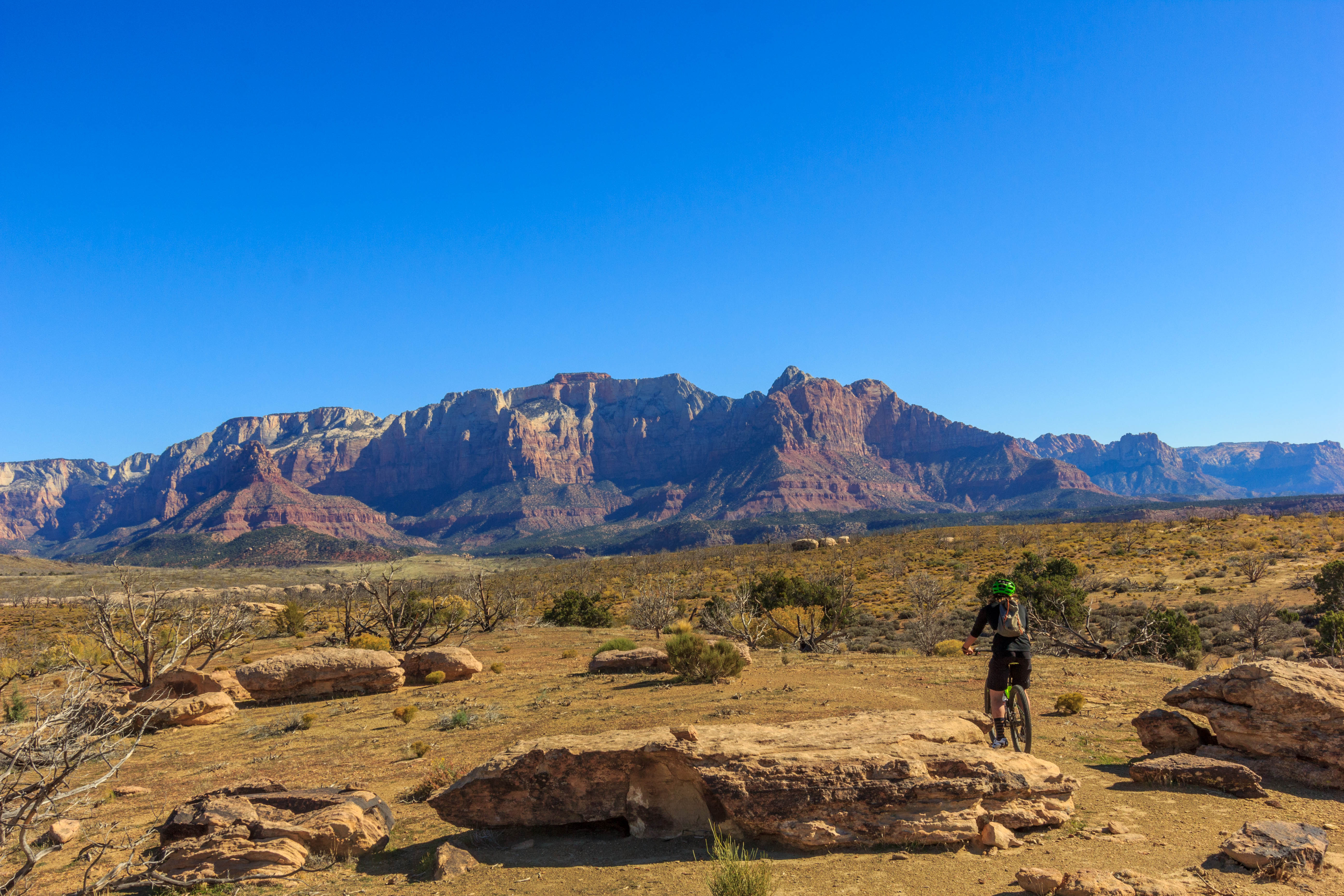 Bike "Holy Guacamole" Outside of Zion NP