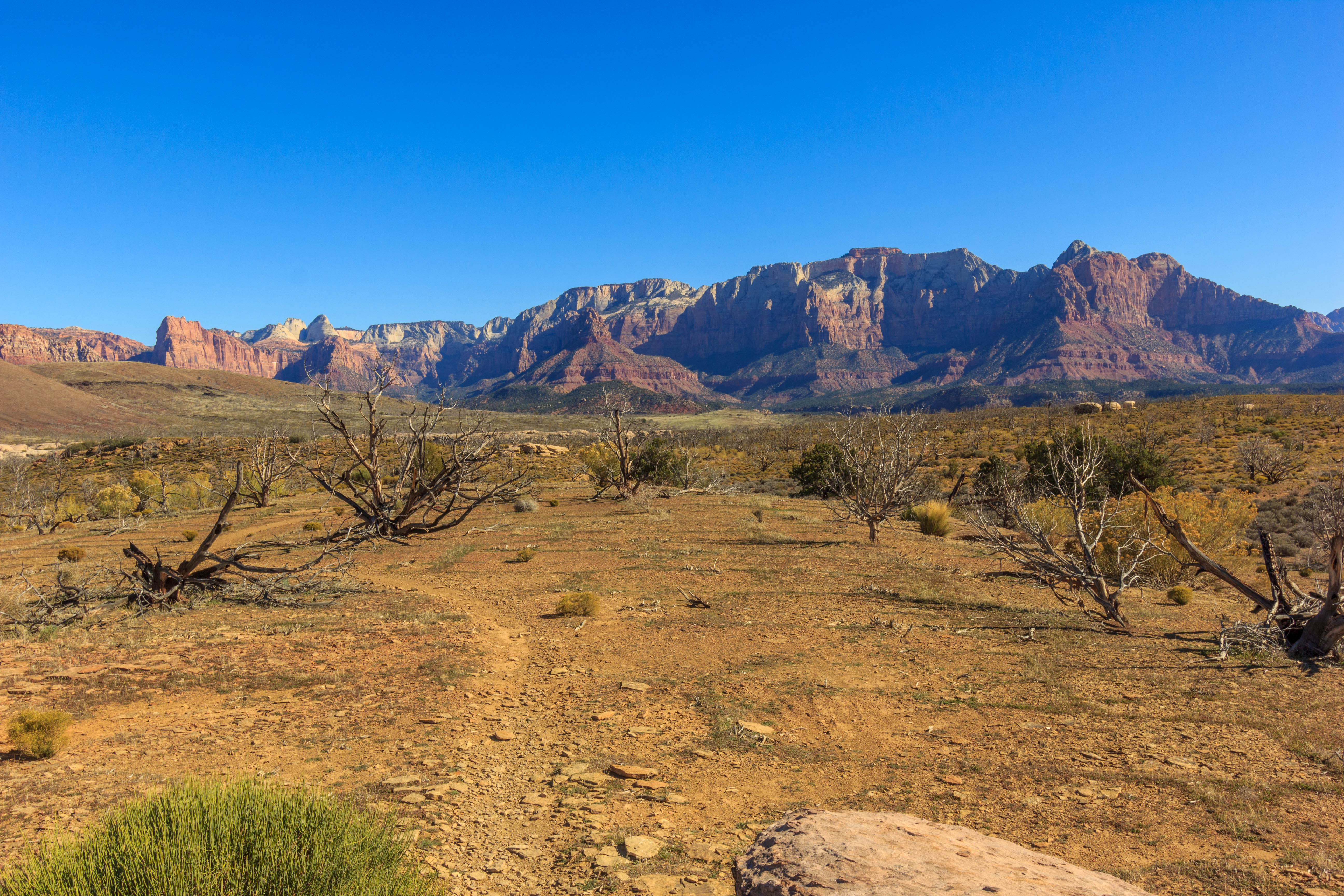 Bike "Holy Guacamole" Outside of Zion NP
