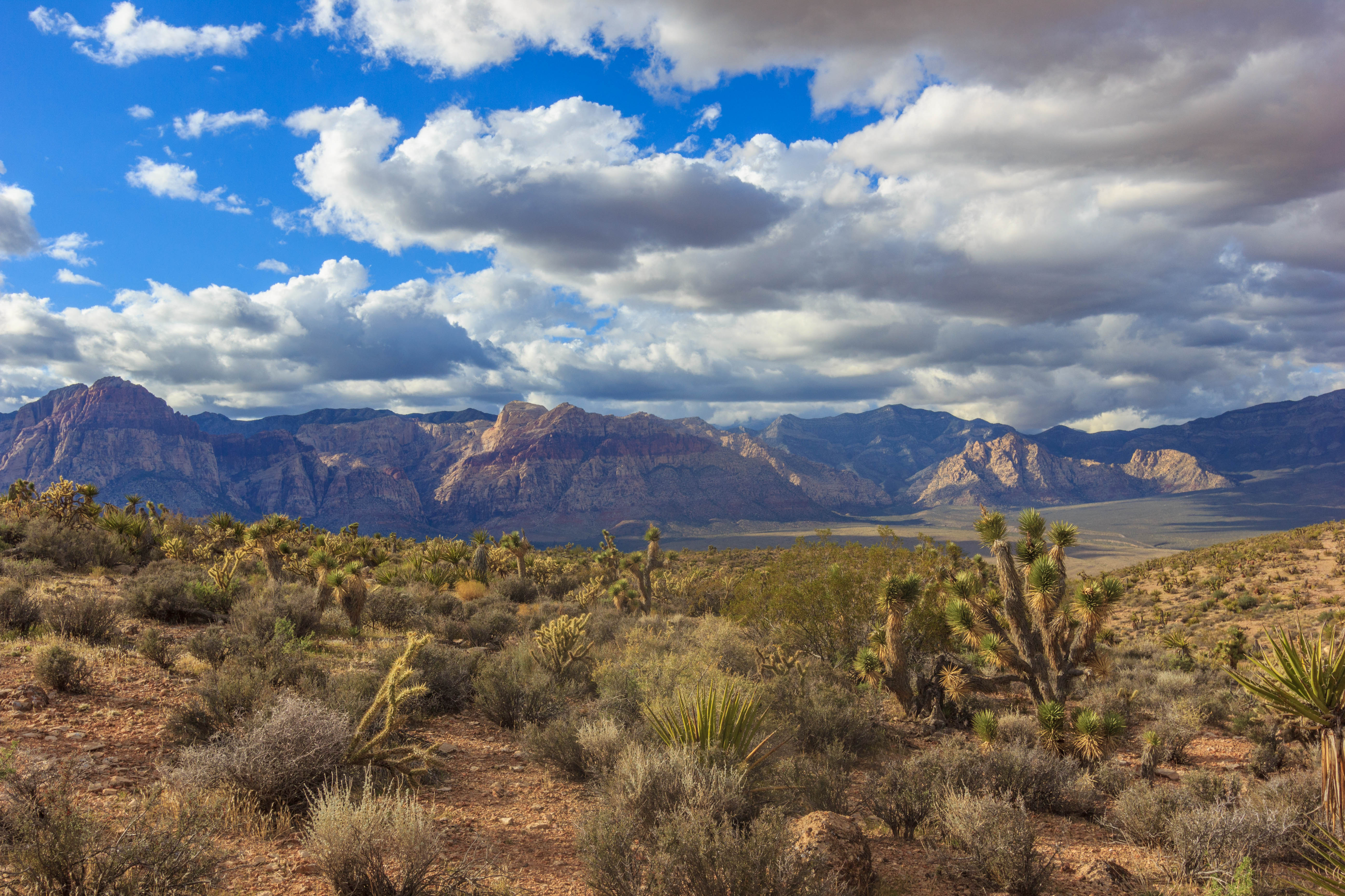 Bike the Cowboy Trails Near Red Rocks Canyon