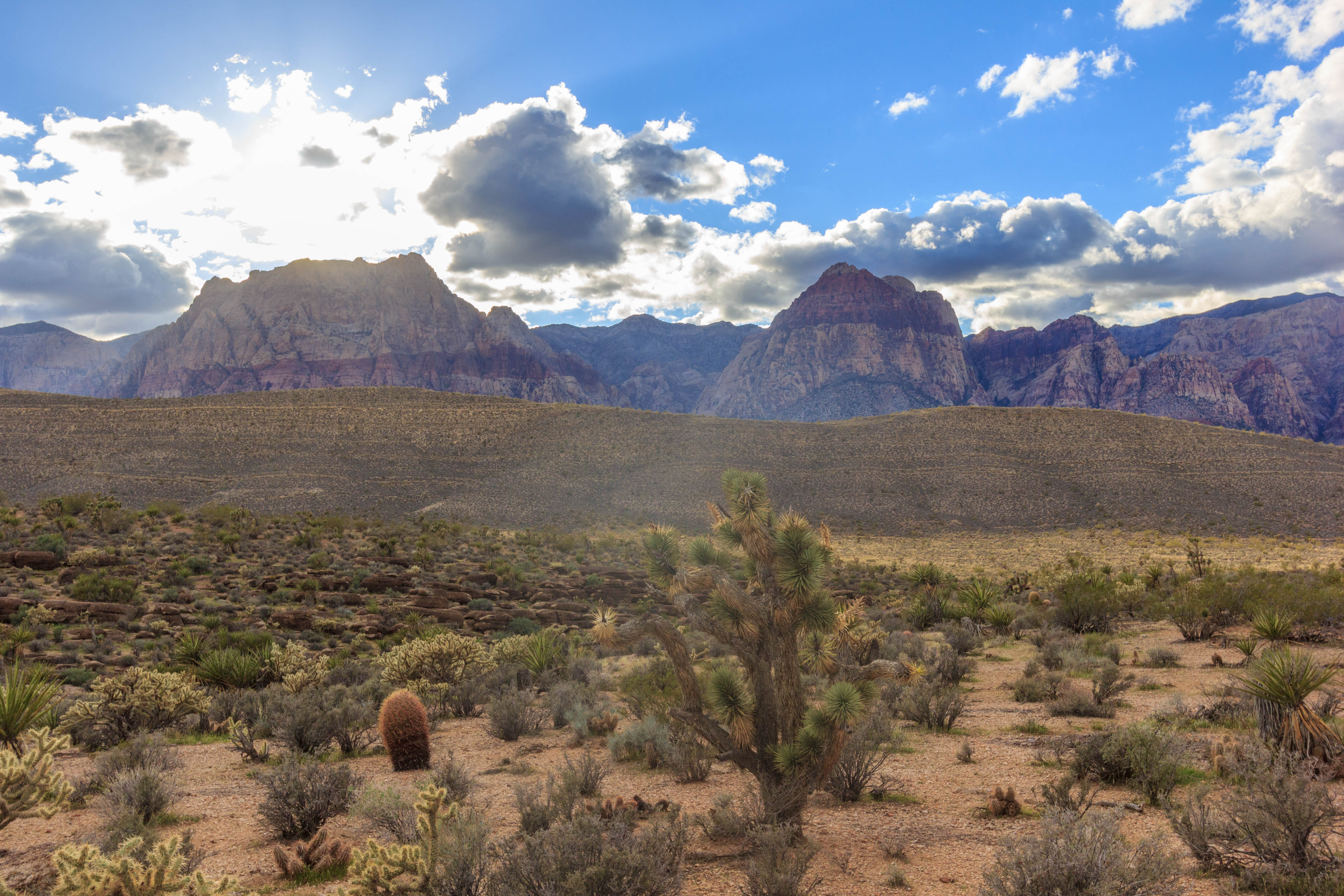 Bike the Cowboy Trails Near Red Rocks Canyon