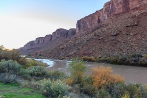 Camp Goose Island Campground