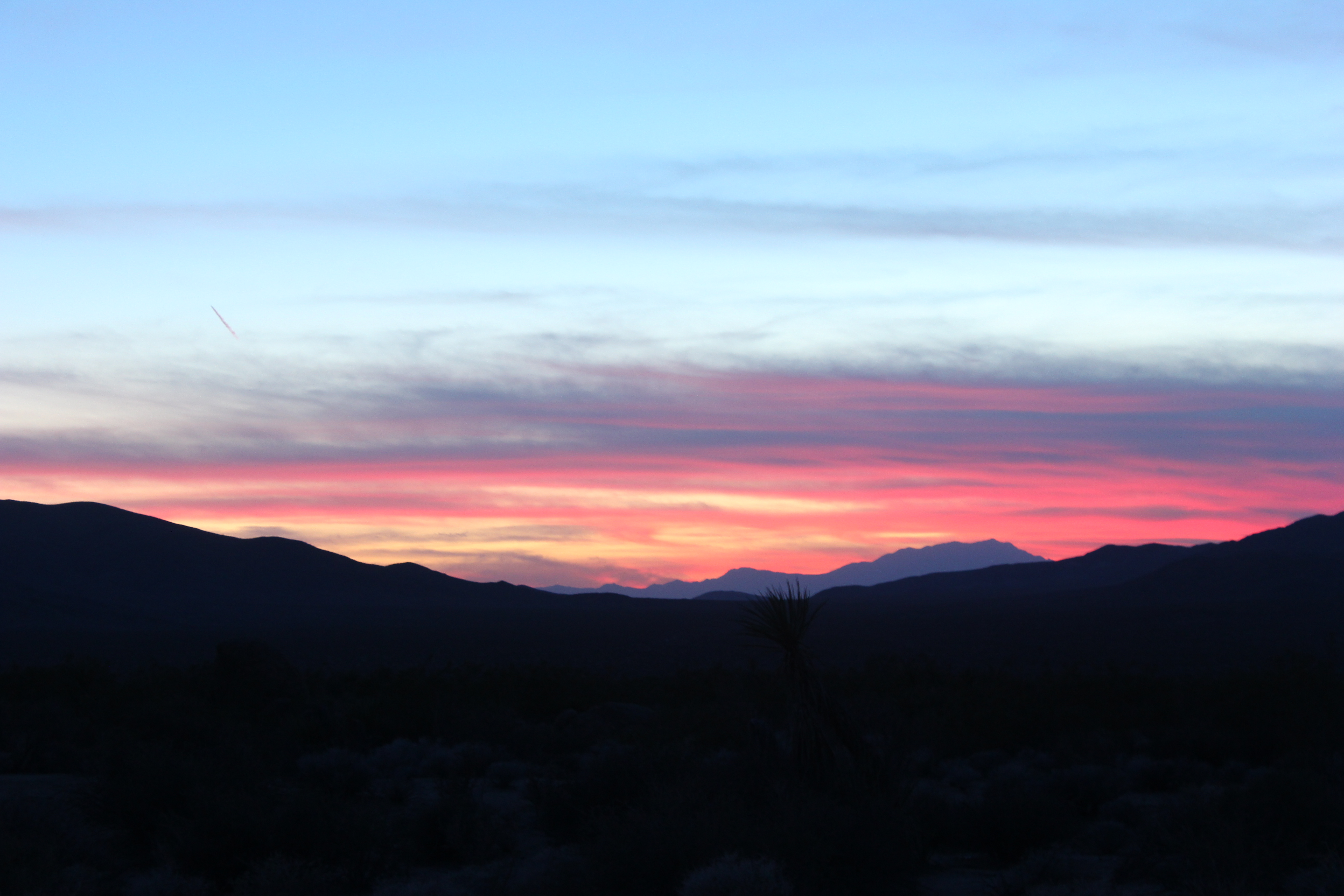 Camp at Cottonwood Campground in Joshua Tree NP