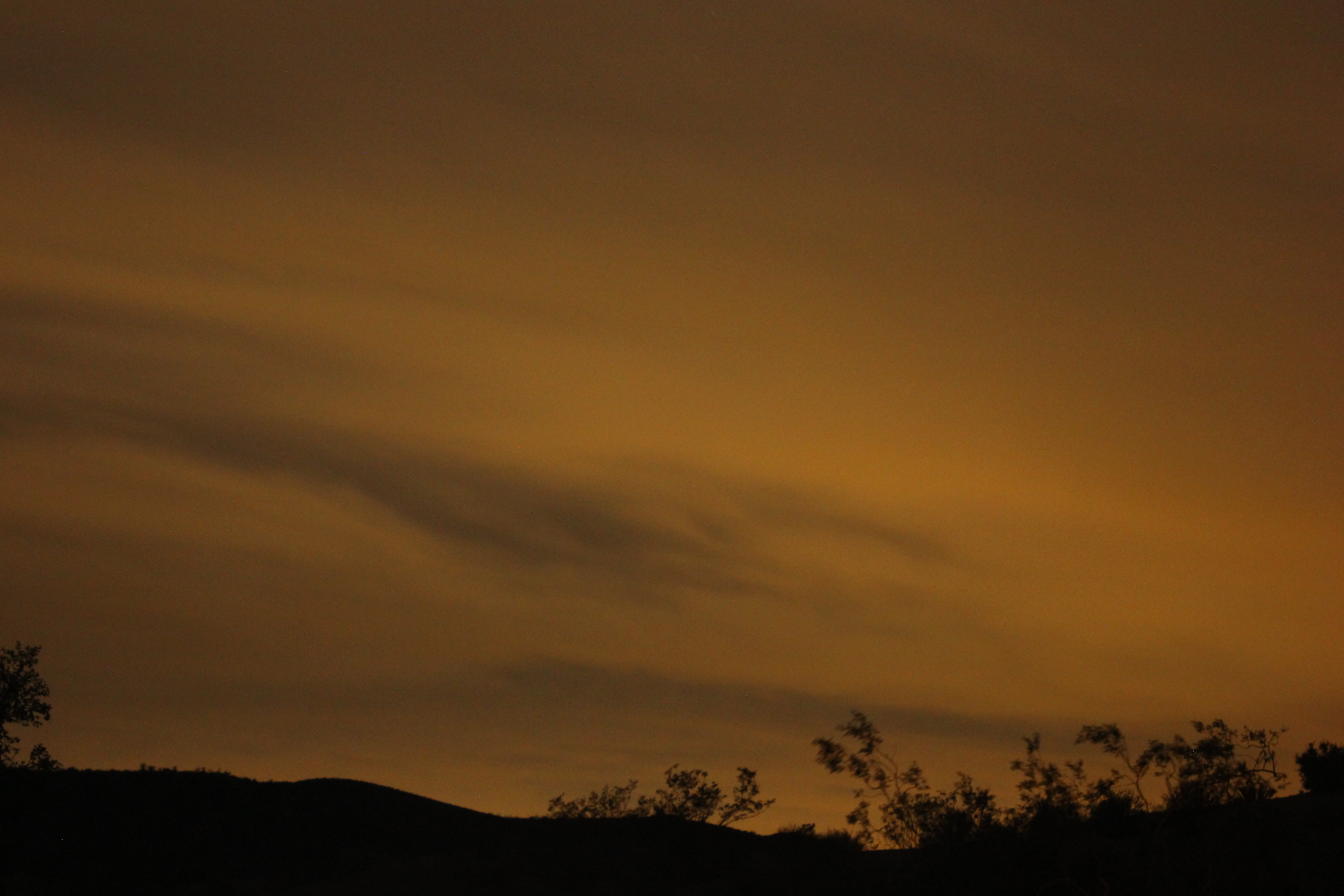 Camp at Cottonwood Campground in Joshua Tree NP