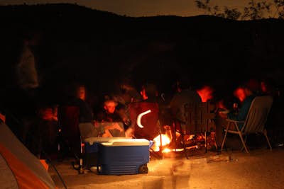 Camp at Cottonwood Campground in Joshua Tree NP