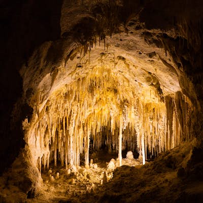 Climb Down into the Depths of Carlsbad Caverns