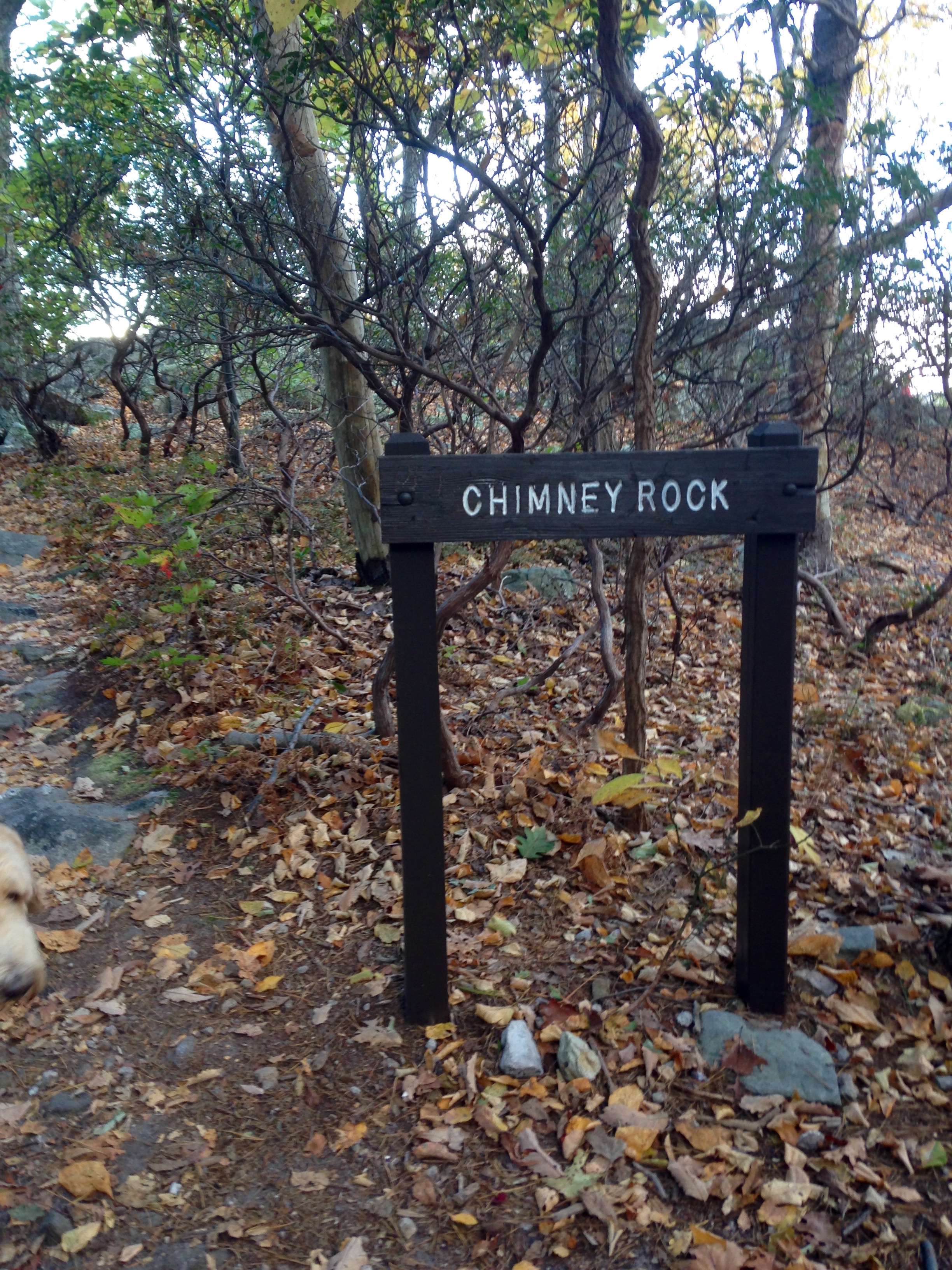 Hike Chimney Rock at Catoctin Mountain Park