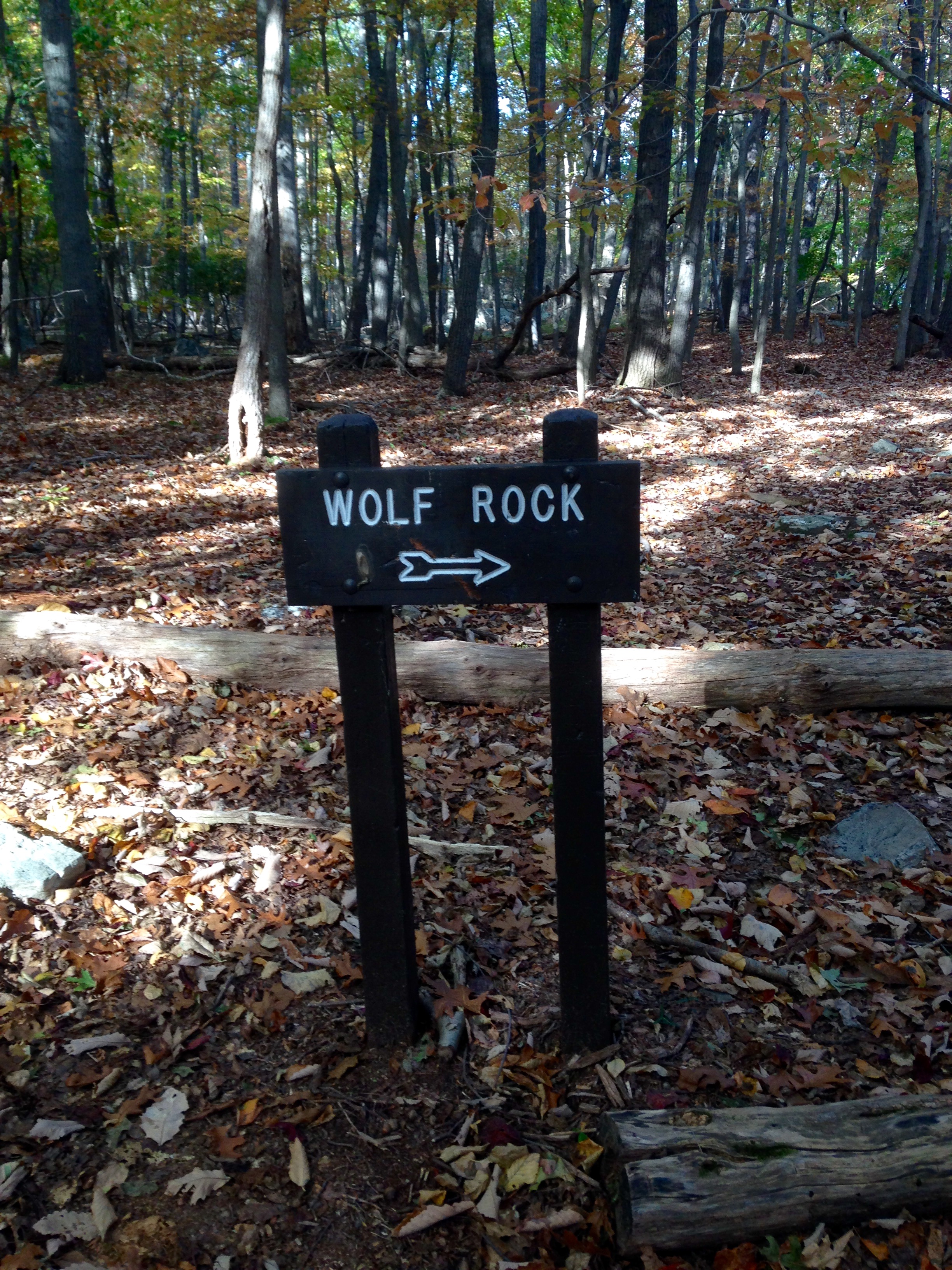 Hike Chimney Rock at Catoctin Mountain Park