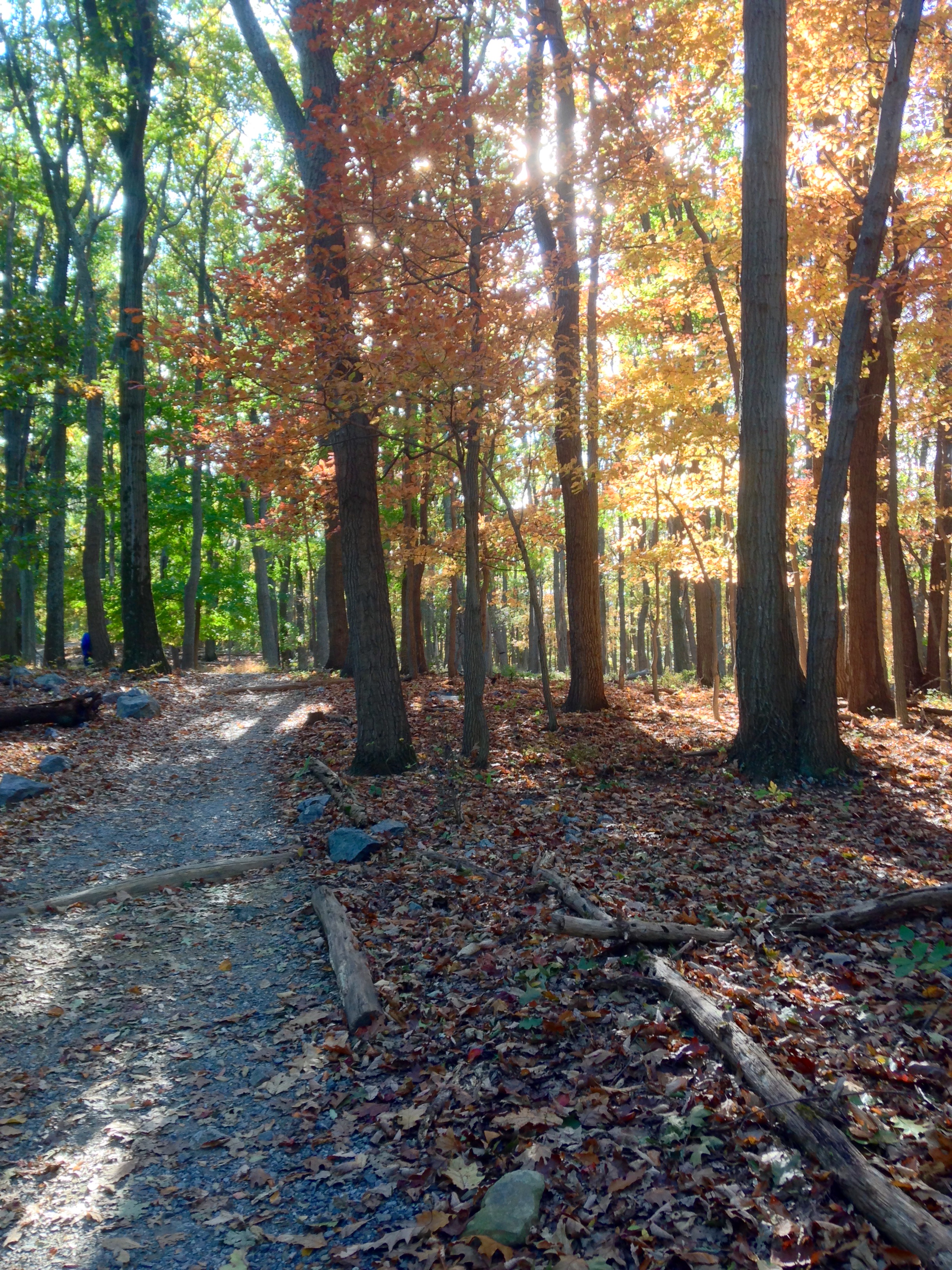 Hike Chimney Rock at Catoctin Mountain Park, Thurmont, Maryland