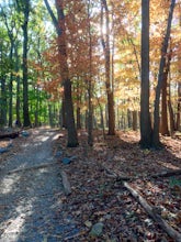 Hike Chimney Rock at Catoctin Mountain Park