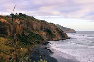 Explore Muriwai Beach